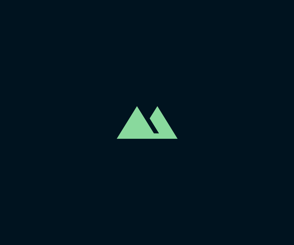 Mountair — Изображение №5 — Брендинг на Dprofile