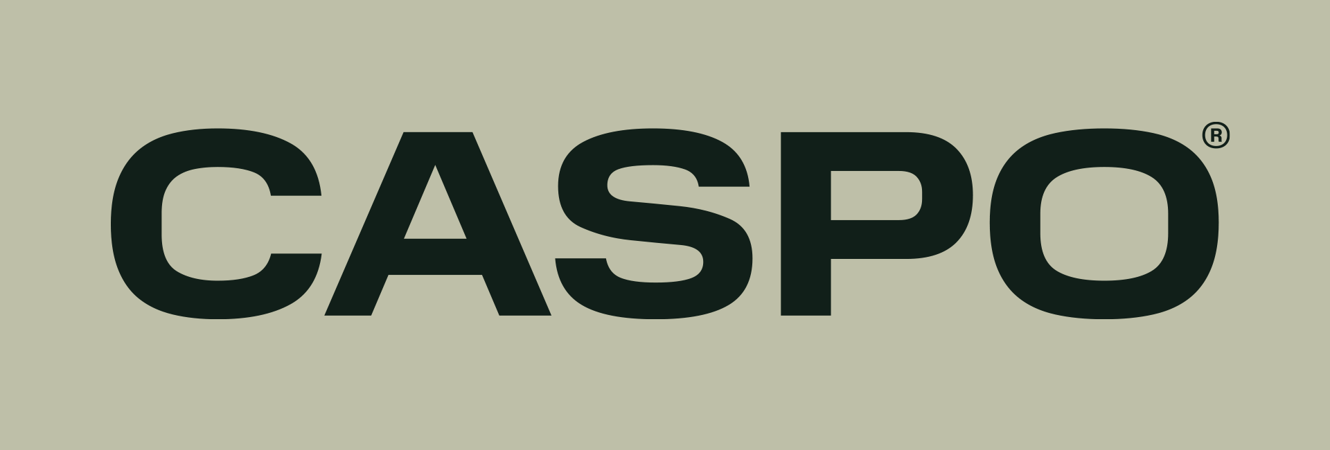 Caspo — Изображение №2 — Брендинг на Dprofile