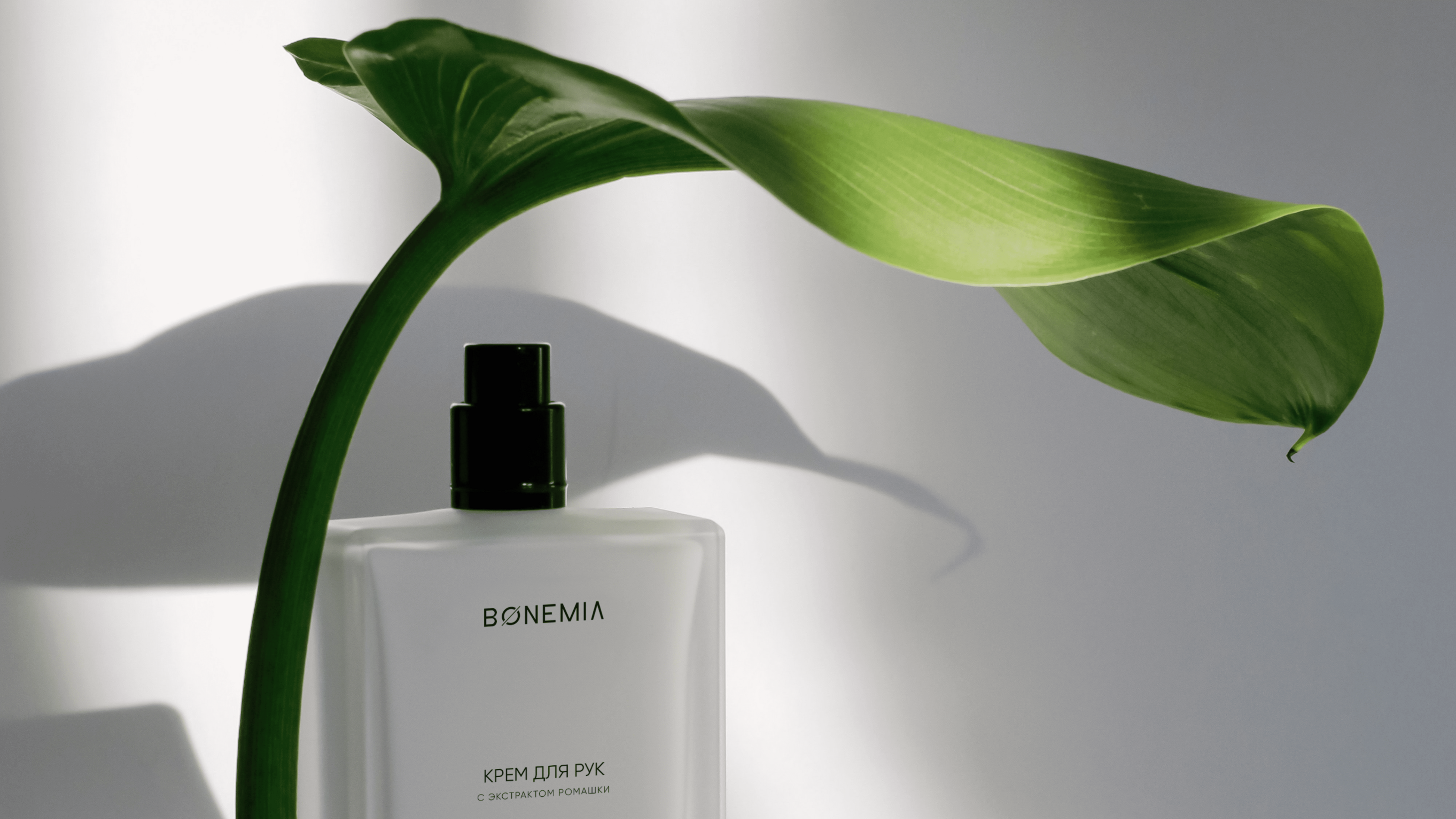 BONEMIA фирменный стиль — Изображение №6 — Брендинг на Dprofile