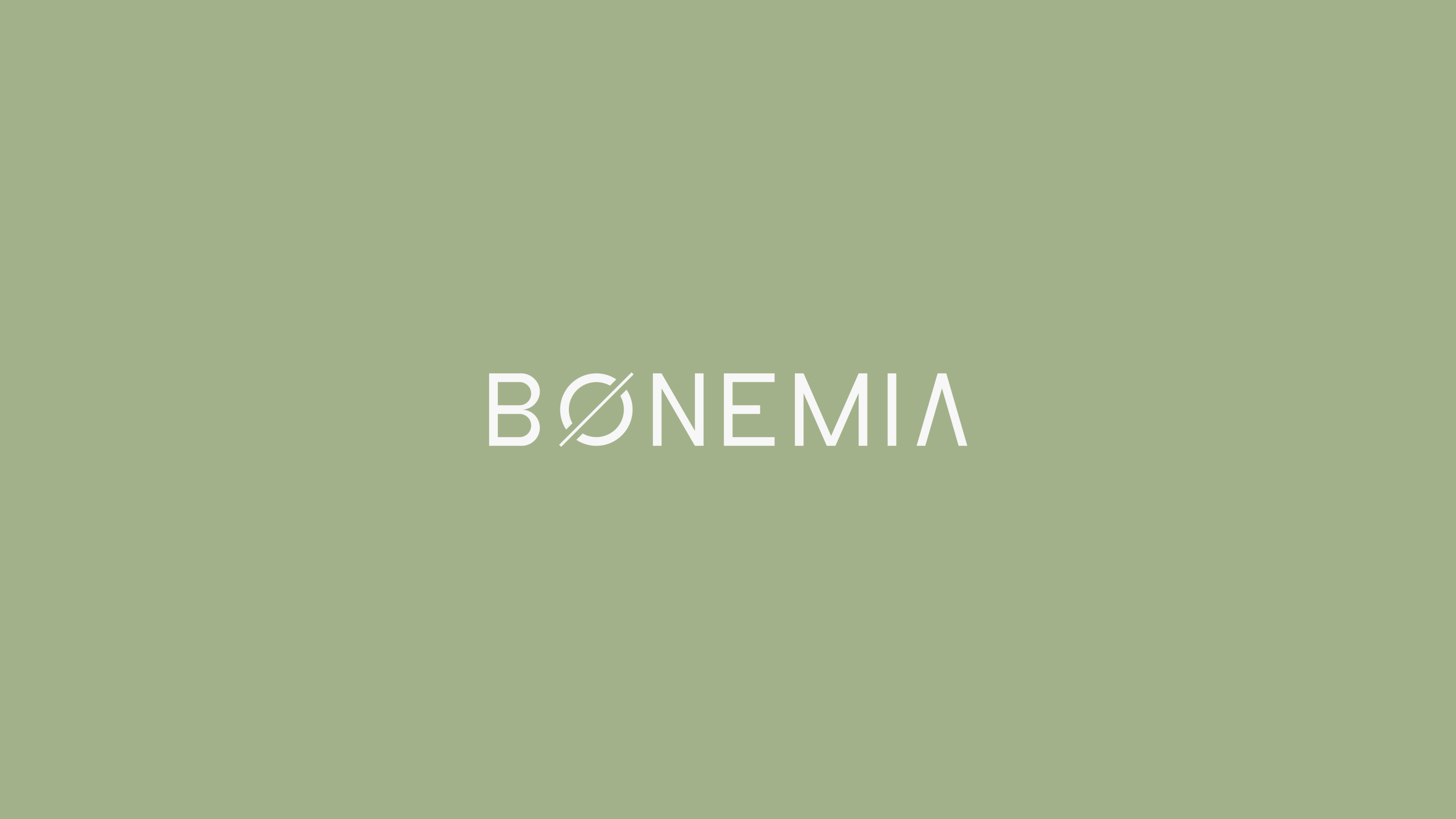 BONEMIA фирменный стиль — Изображение №8 — Брендинг на Dprofile