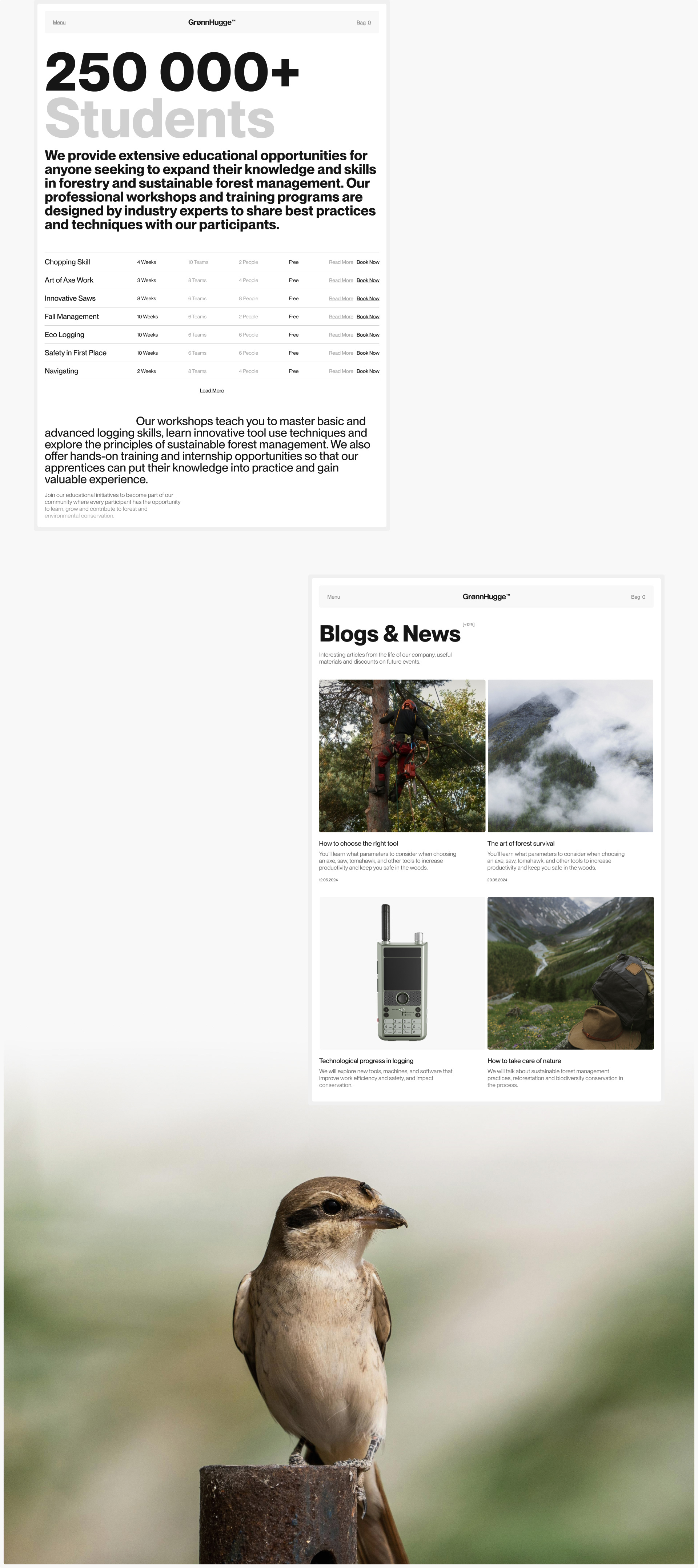 GrønnHugge™ — Изображение №9 — Интерфейсы, Брендинг на Dprofile