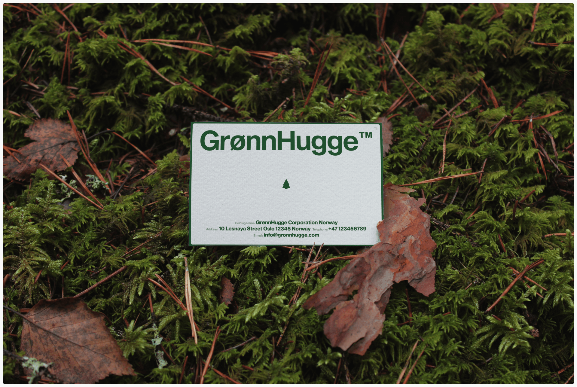 GrønnHugge™ — Изображение №21 — Интерфейсы, Брендинг на Dprofile