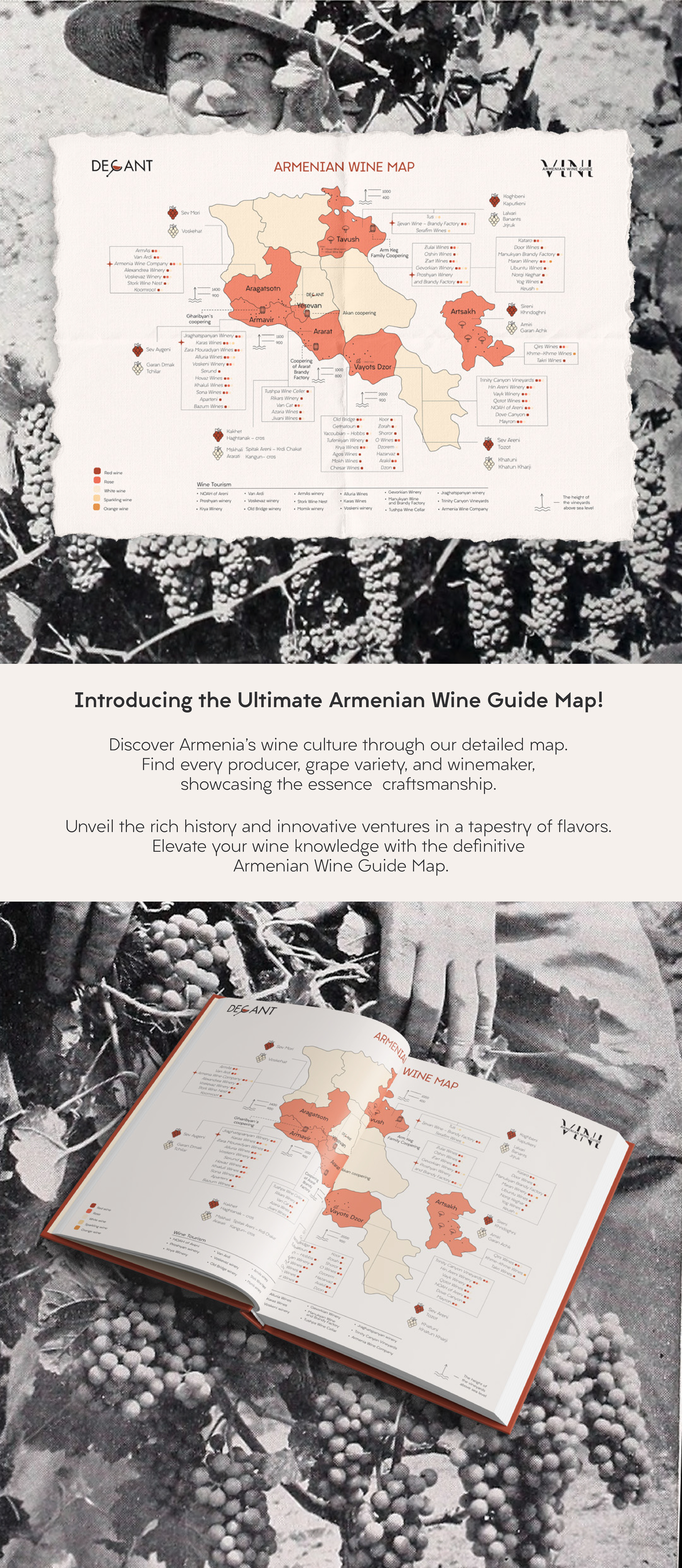 Armenian wine map — Изображение №1 — Графика на Dprofile