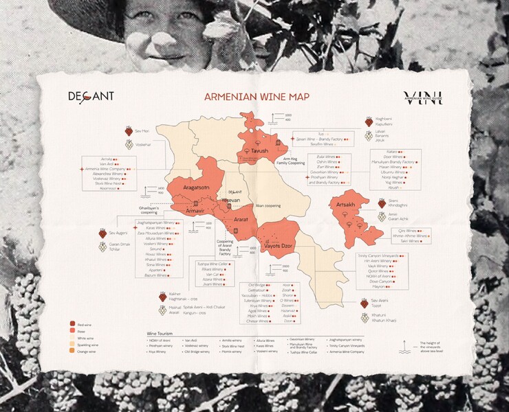 Armenian wine map — Графика на Dprofile
