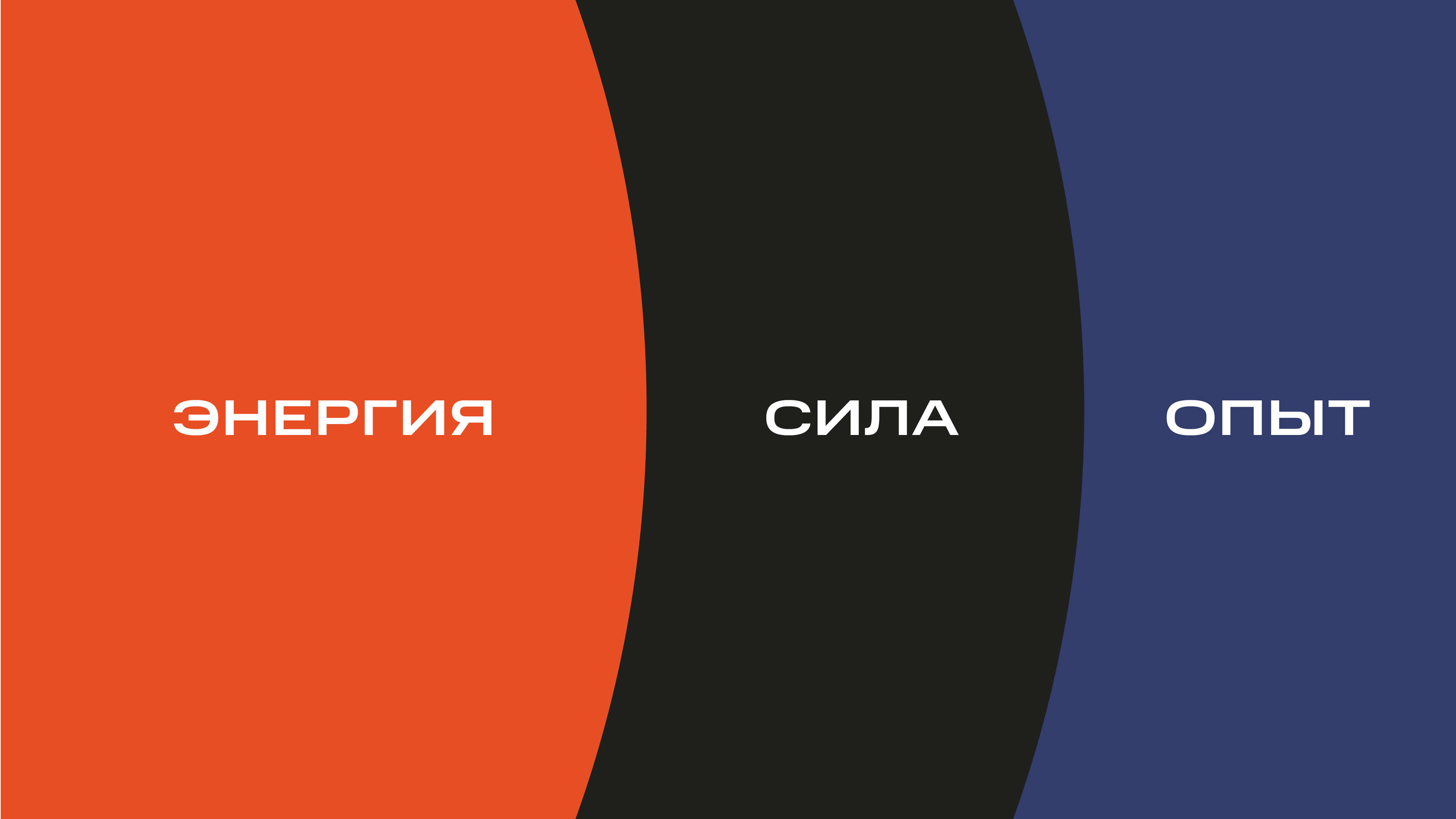 Суровый северный оптимизм. Айдентика МБТ — Изображение №3 — Брендинг на Dprofile