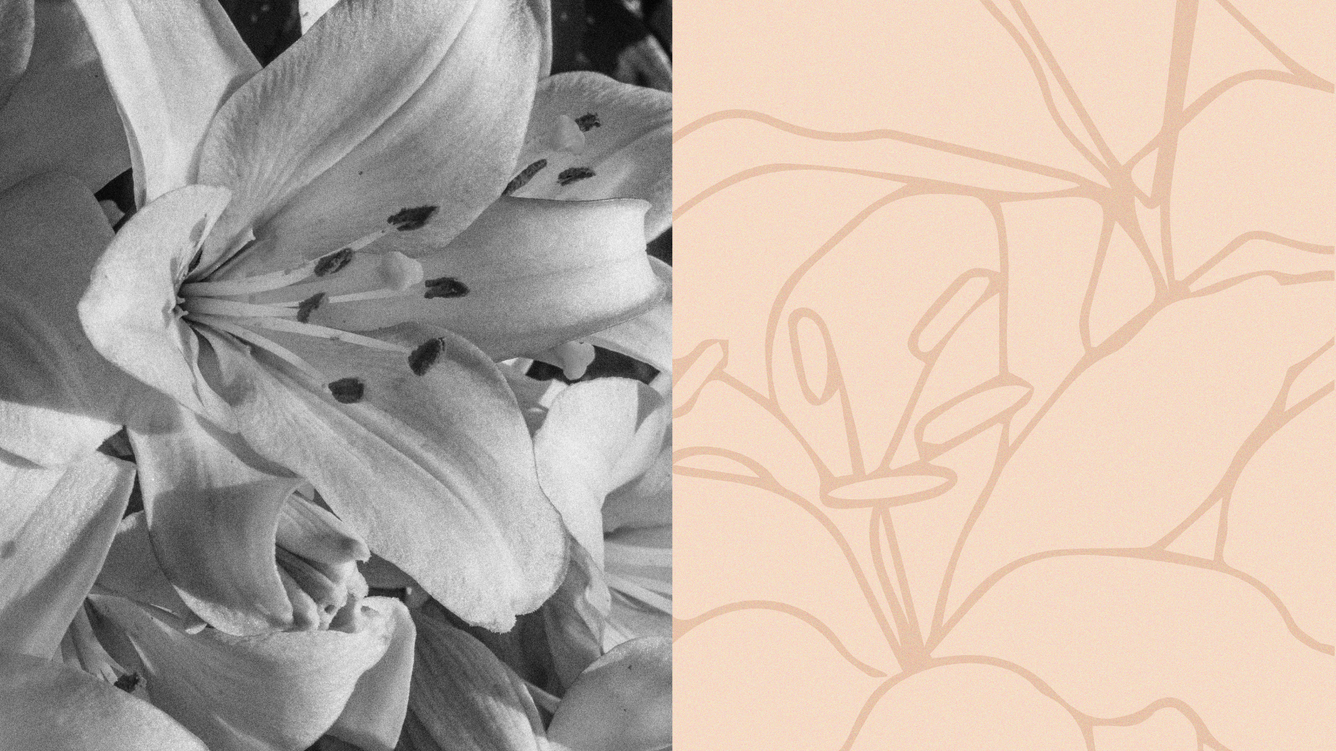 Love your (V). Бьюти-бренд Vestetique — Изображение №2 — Брендинг на Dprofile