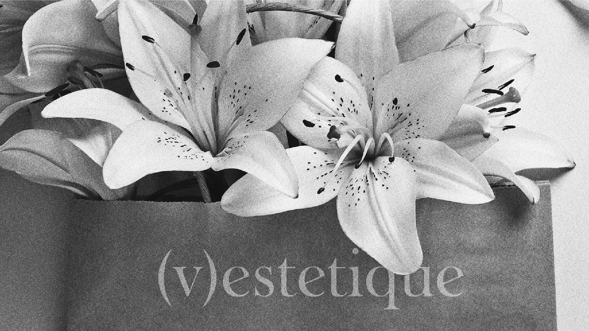 Love your (V). Бьюти-бренд Vestetique — Изображение №9 — Брендинг на Dprofile