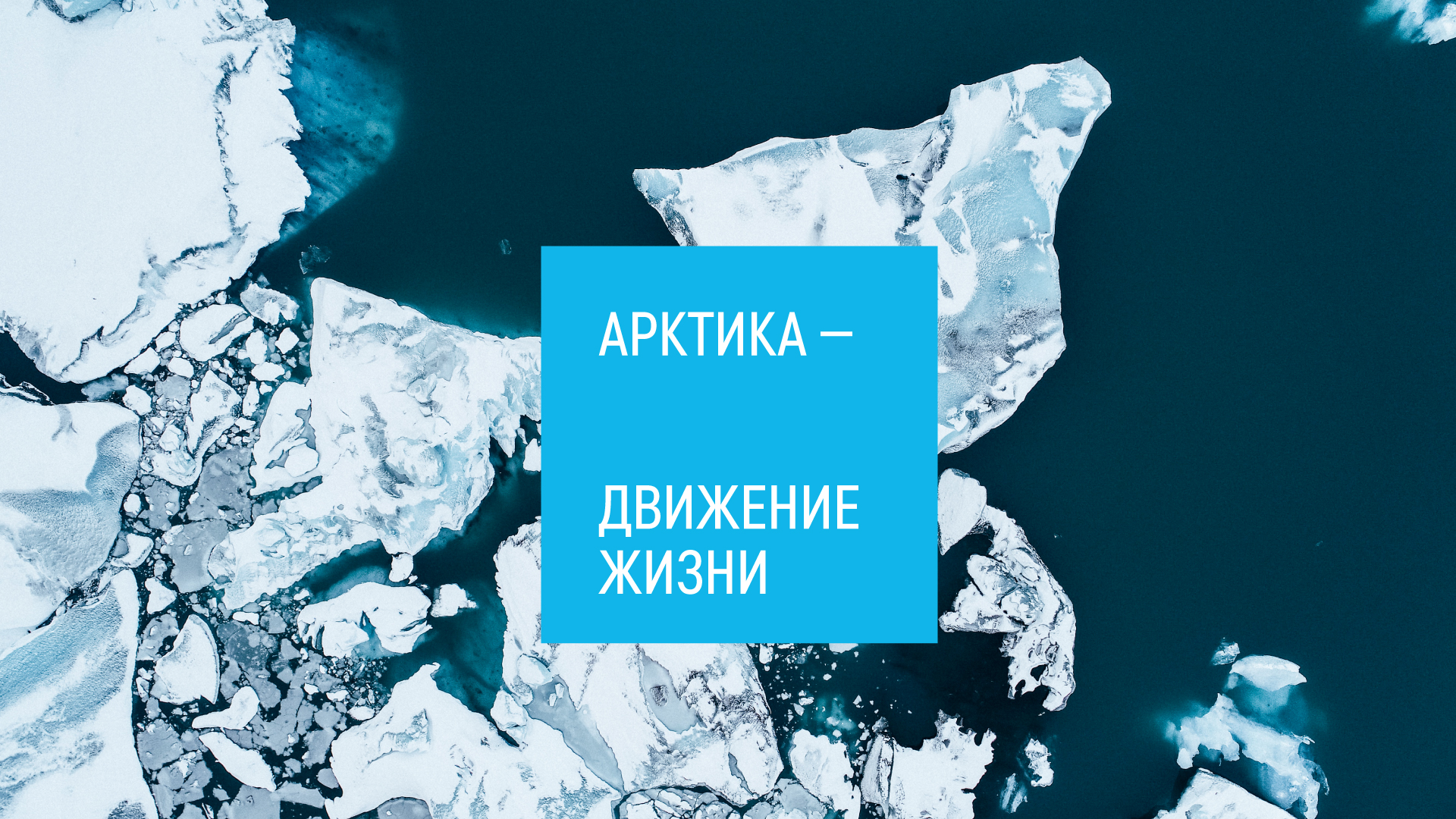 Арктика — движение жизни — Изображение №2 — Брендинг, Графика на Dprofile