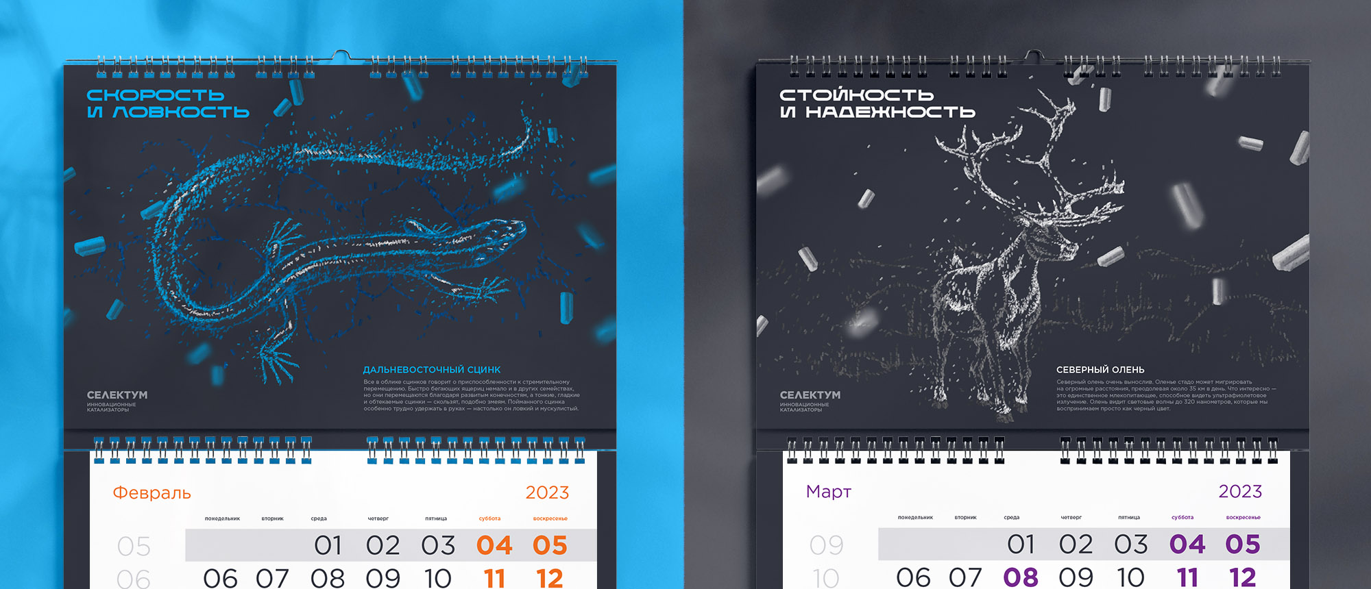 Календарь для «Газпромнефть — Каталитические системы» — Изображение №5 — Иллюстрация, Графика на Dprofile