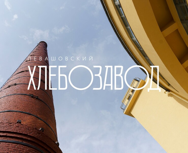Логотип и навигация Левашовского хлебозавода — Брендинг, Графика на Dprofile