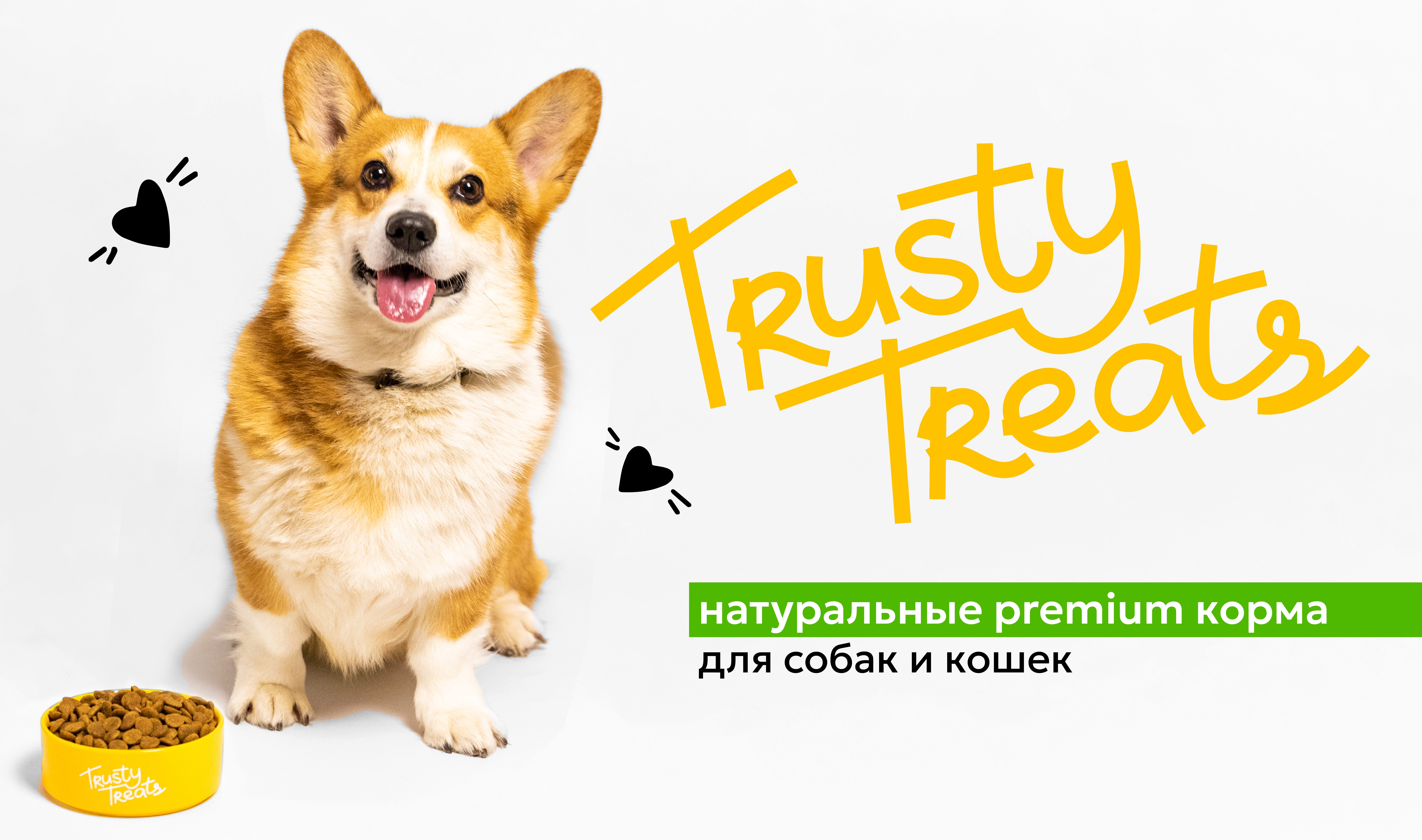 Trusty Treats. Брендинг корма для домашних животных — Изображение №1 — Брендинг на Dprofile