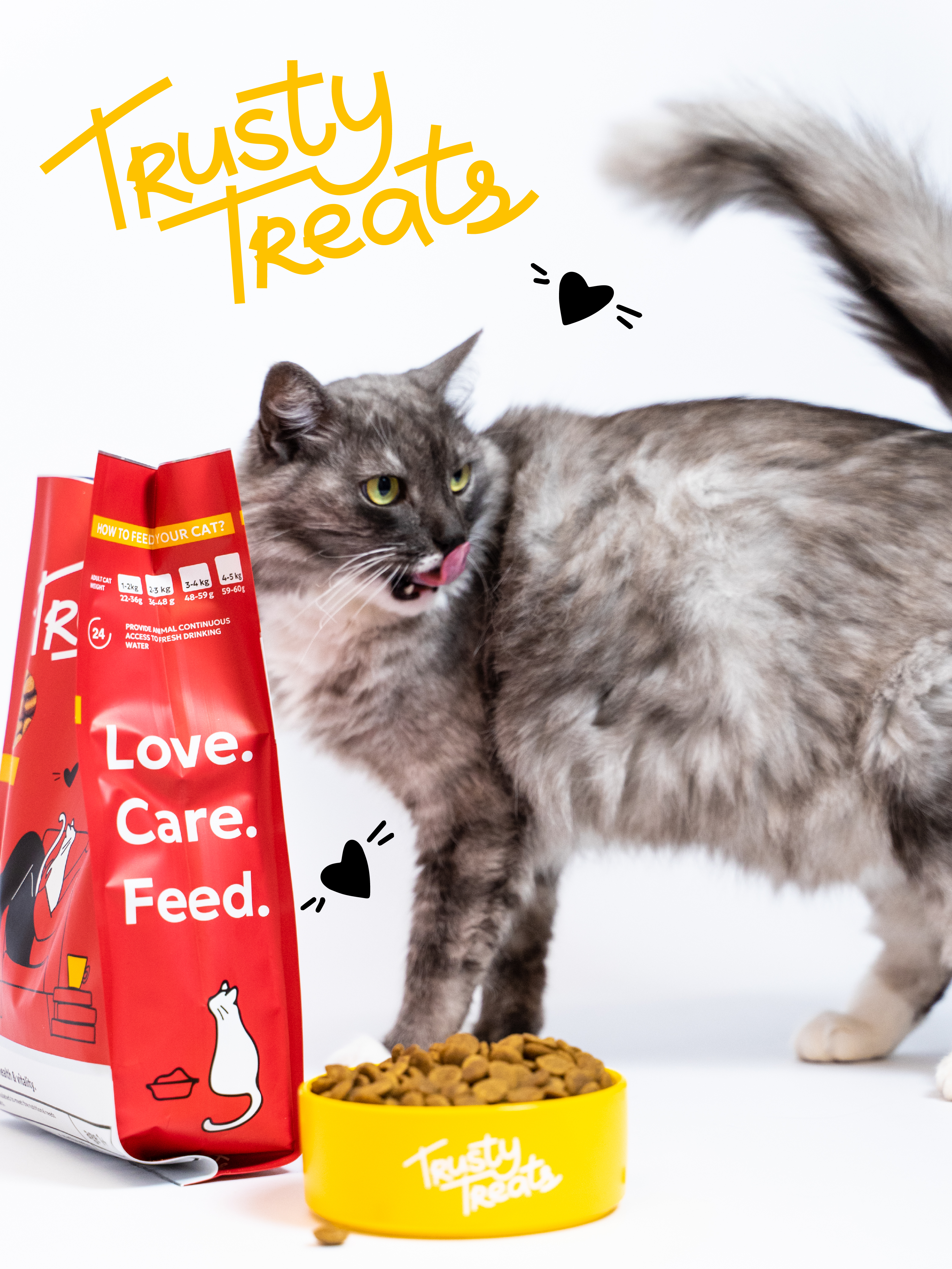 Trusty Treats. Брендинг корма для домашних животных — Изображение №17 — Брендинг на Dprofile