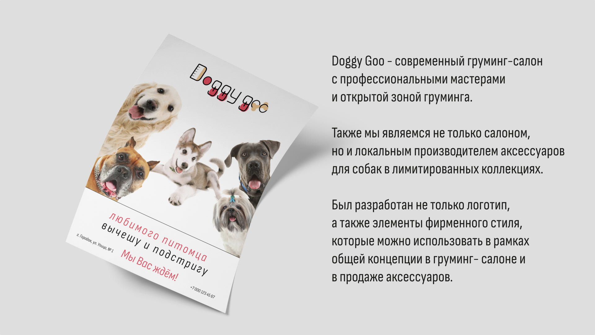Doggy Goo | Brand Identity — Изображение №2 — Брендинг, Графика на Dprofile