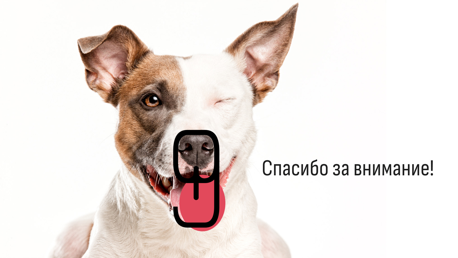 Doggy Goo | Brand Identity — Изображение №7 — Брендинг, Графика на Dprofile