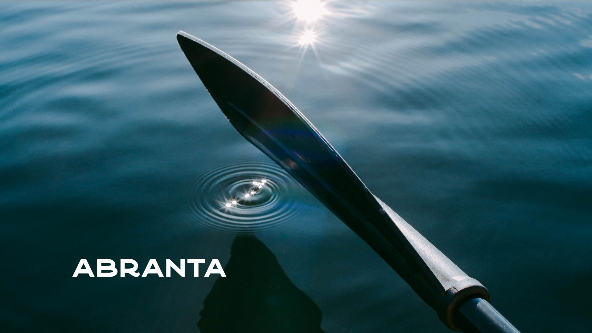 Abranta. Logo design. Drysuit for watersport — Изображение №1 — Брендинг, Графика на Dprofile