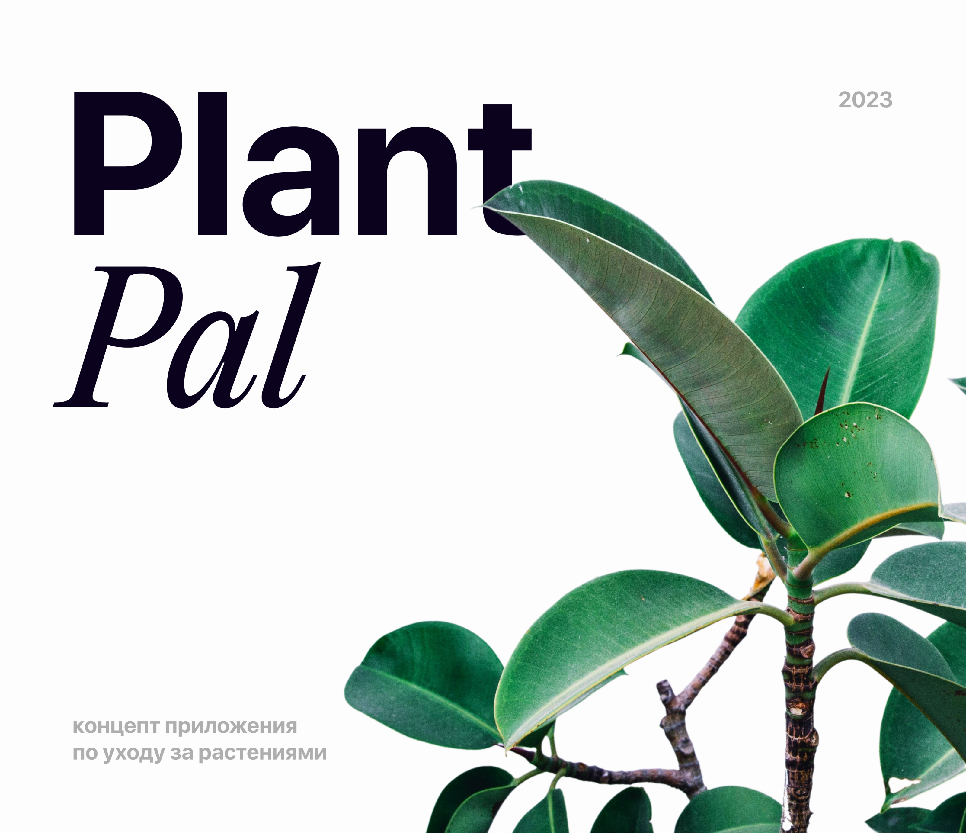 Plant Pal | mobile app concept | UX UI — Изображение №1 — Интерфейсы на Dprofile