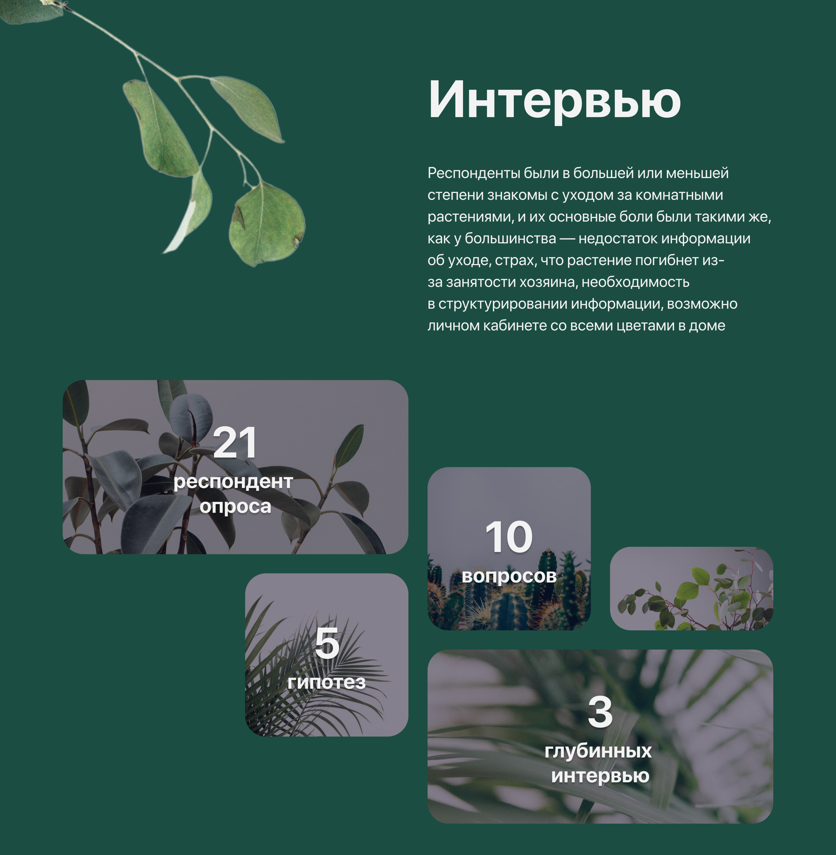 Plant Pal | mobile app concept | UX UI — Изображение №7 — Интерфейсы на Dprofile
