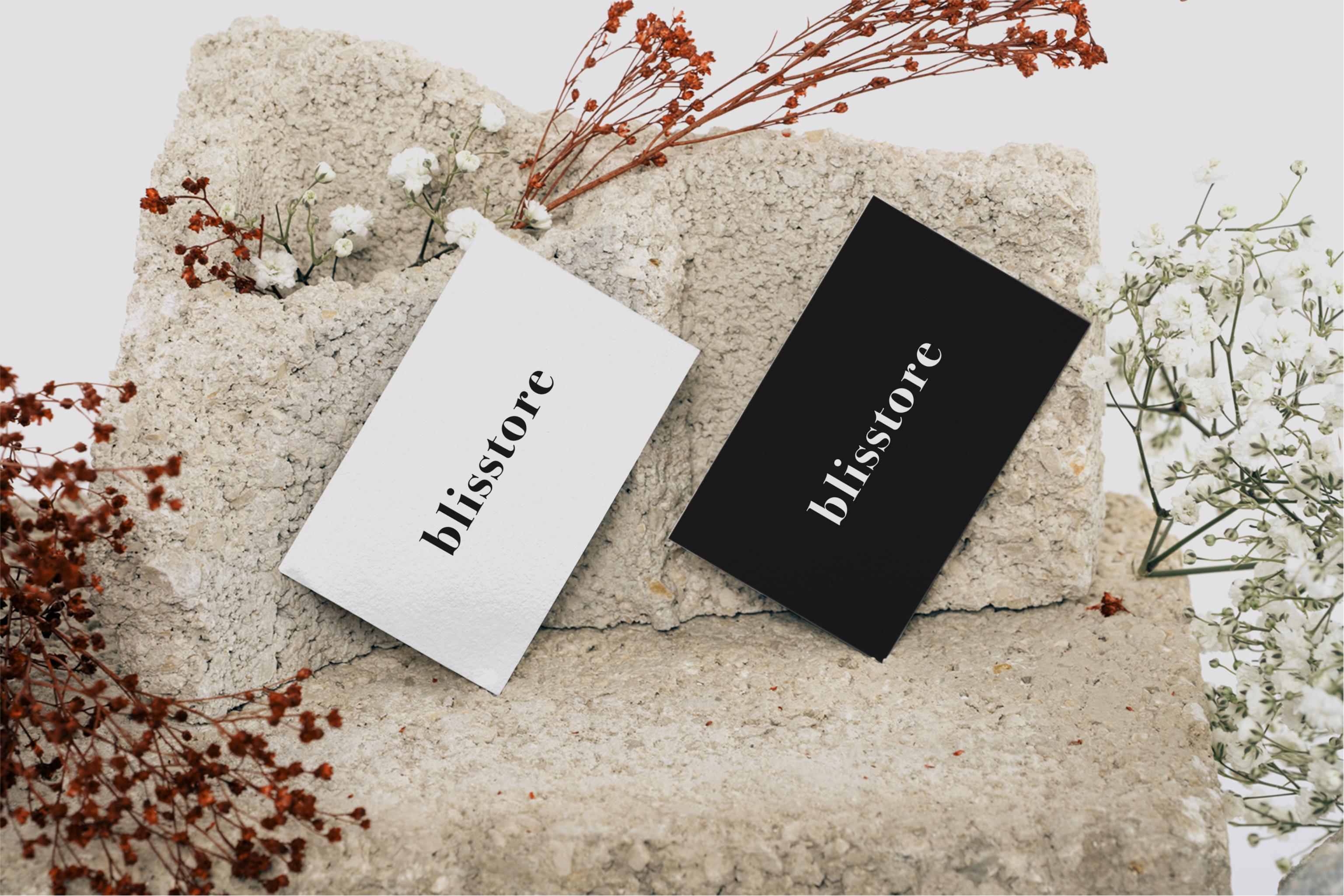 Blisstore Logo Design — Изображение №1 — Брендинг, Графика на Dprofile