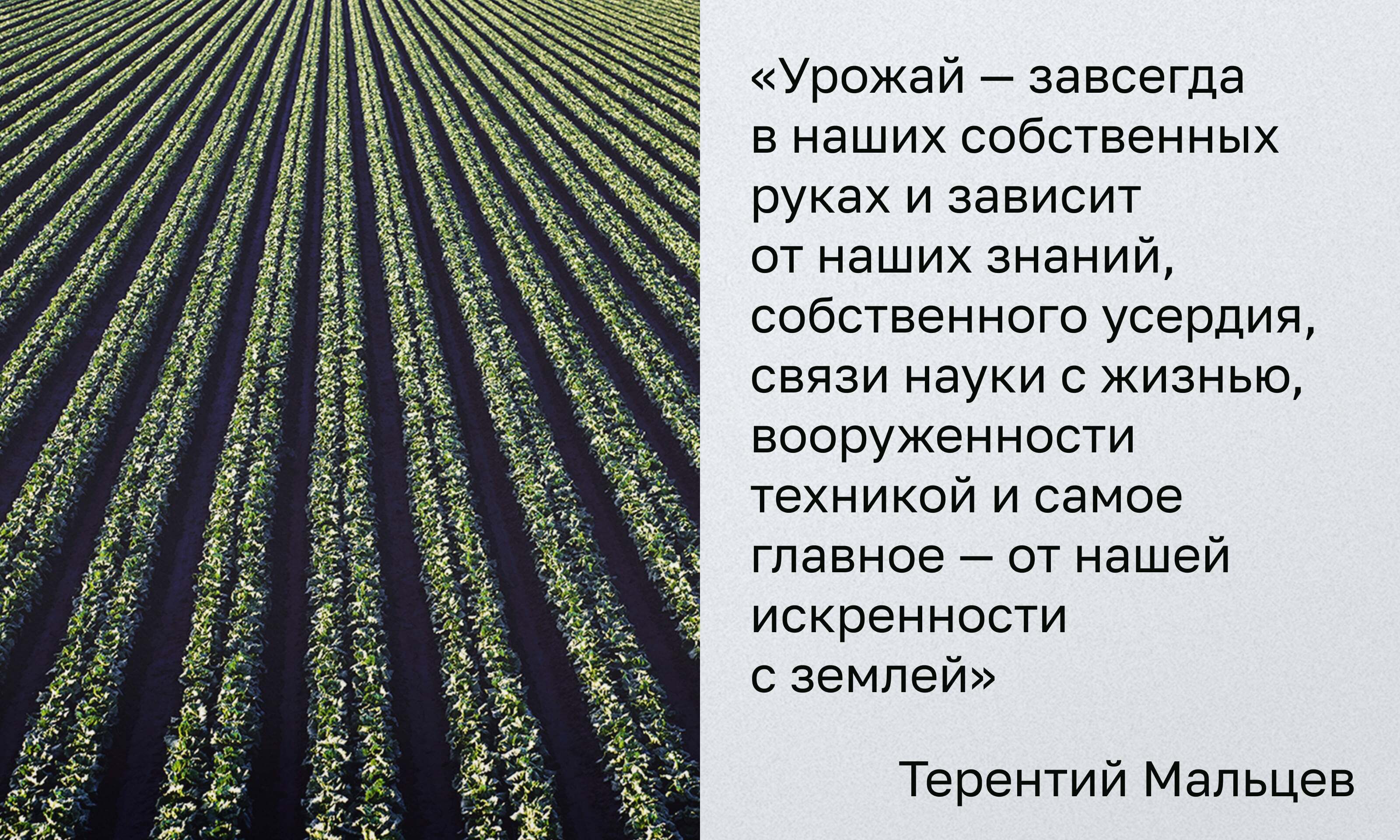 Ferma. Идентичность бренда. — Изображение №10 — Брендинг, Маркетинг на Dprofile