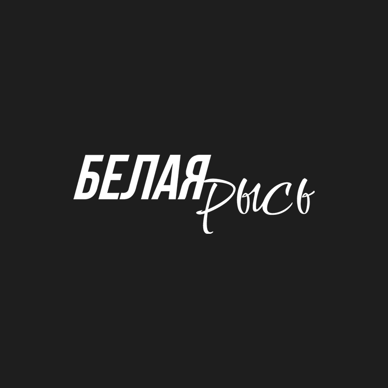 White lynx brand identity — Изображение №2 — Брендинг, Анимация на Dprofile