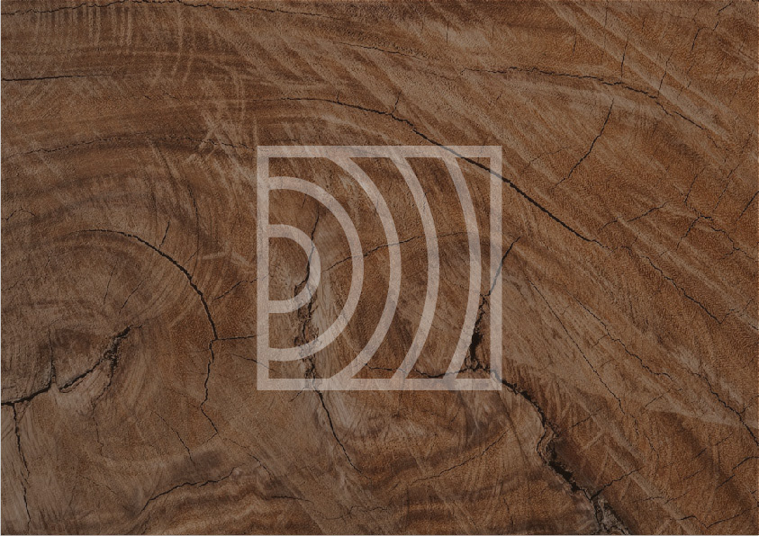 BRANDBOOK AND LOGO FOR THE COMPANY — Изображение №6 — Брендинг, Графика на Dprofile