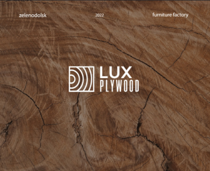 BRANDBOOK AND LOGO FOR THE COMPANY — Брендинг, Графика на Dprofile