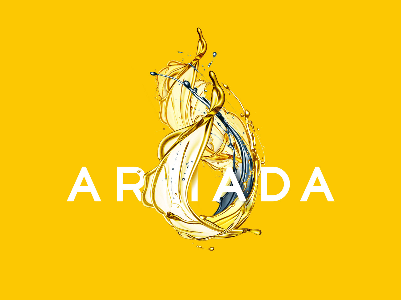 ARMADA GROUP — Изображение №7 — Брендинг на Dprofile