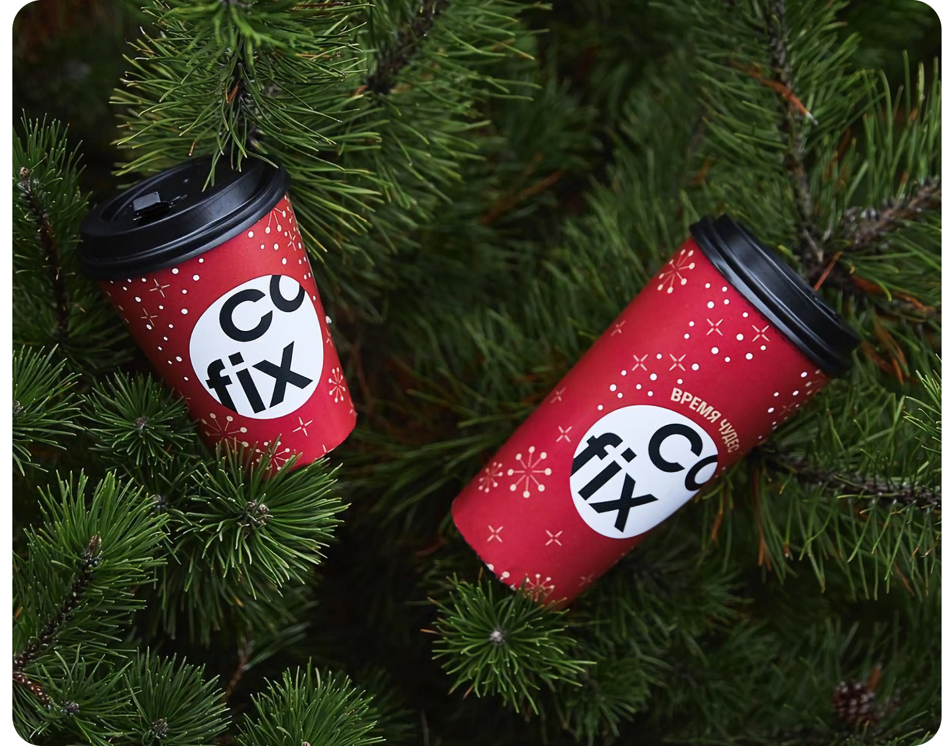 Дизайн-конкурс Skillbox x Cofix — Изображение №21 — Брендинг, Иллюстрация на Dprofile