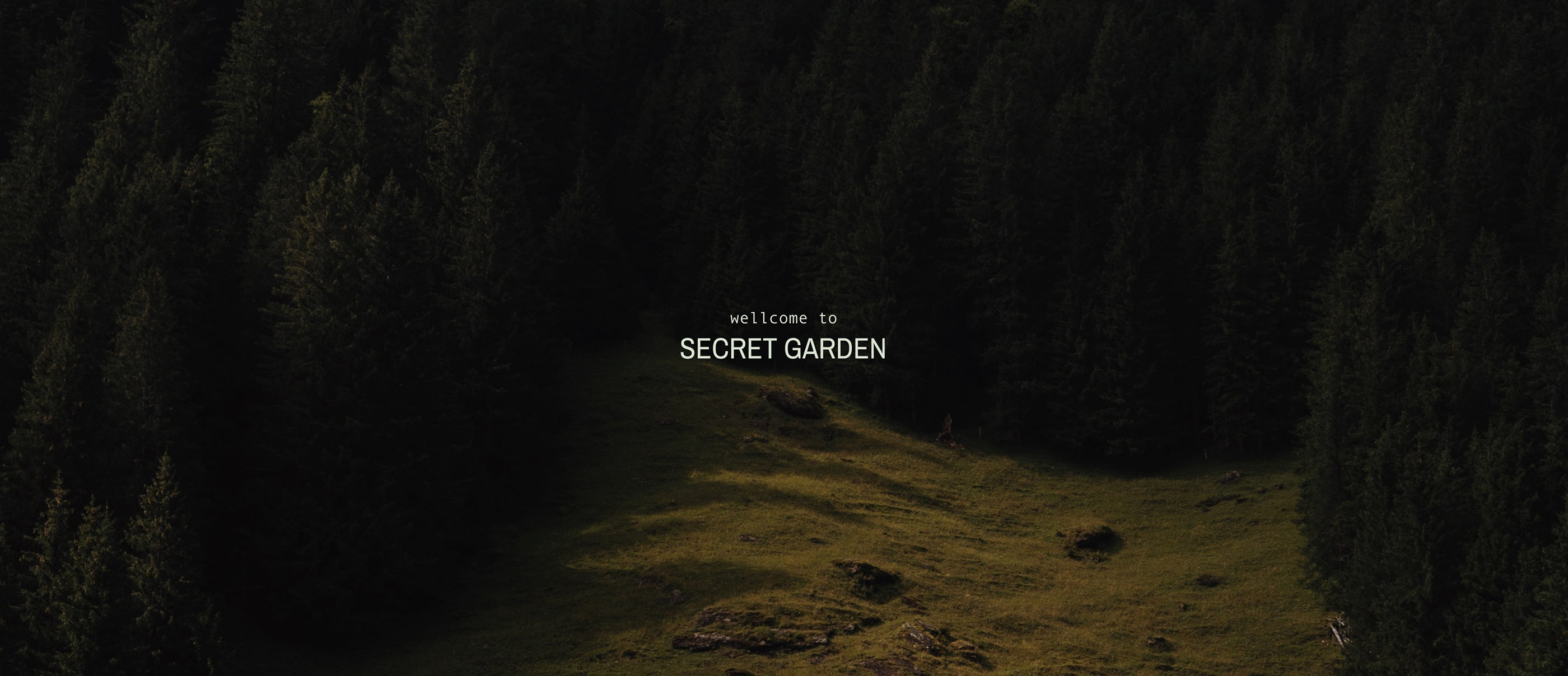 SECRET PLACE — Изображение №9 — Брендинг, Графика на Dprofile