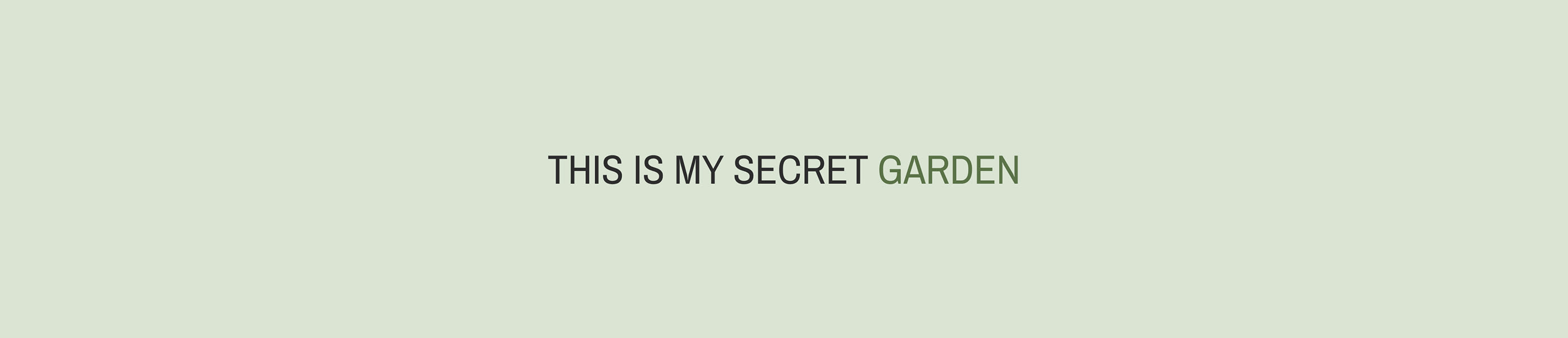 SECRET PLACE — Изображение №2 — Брендинг, Графика на Dprofile