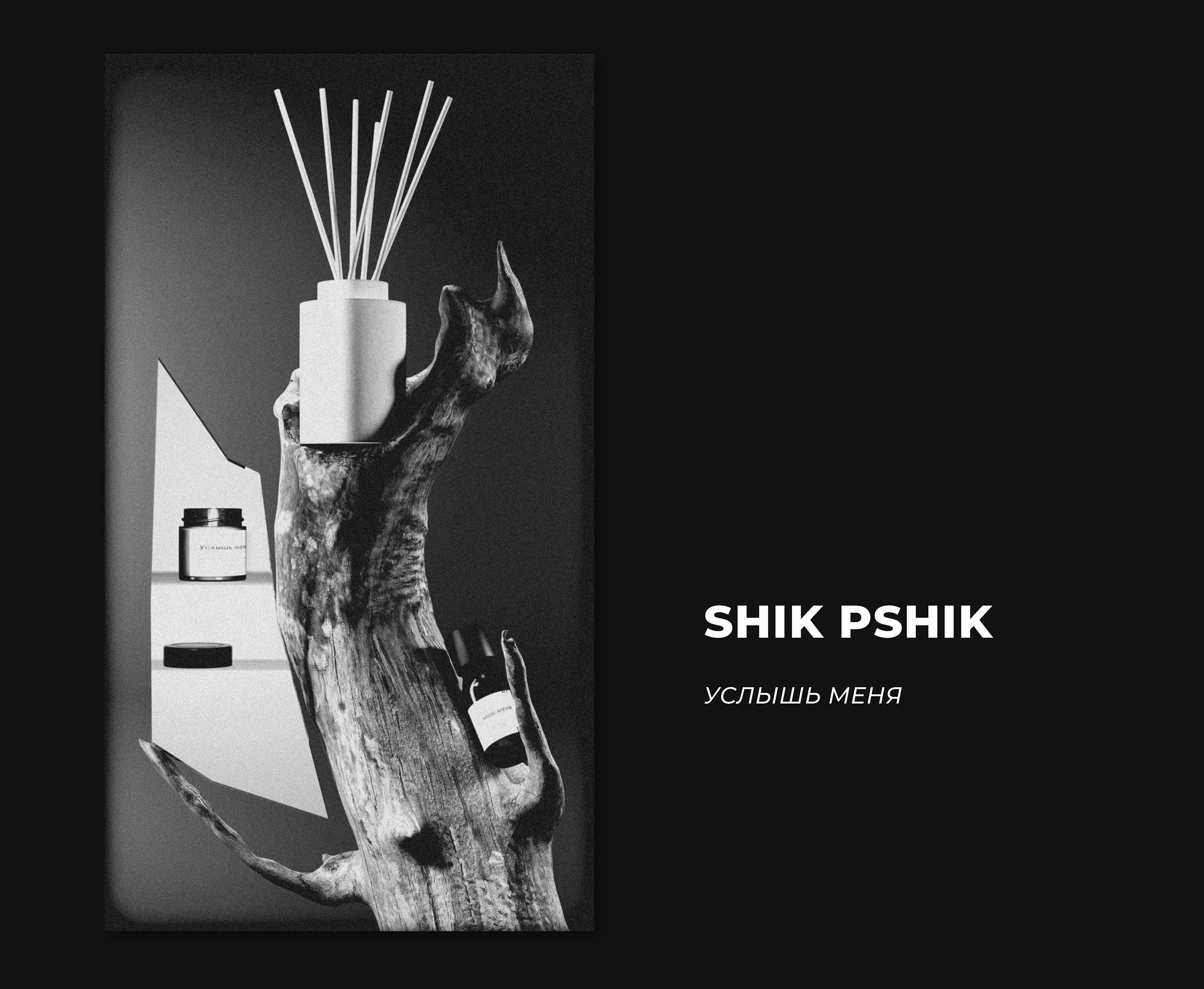 SHIK PSHIK — Изображение №8 — 3D на Dprofile