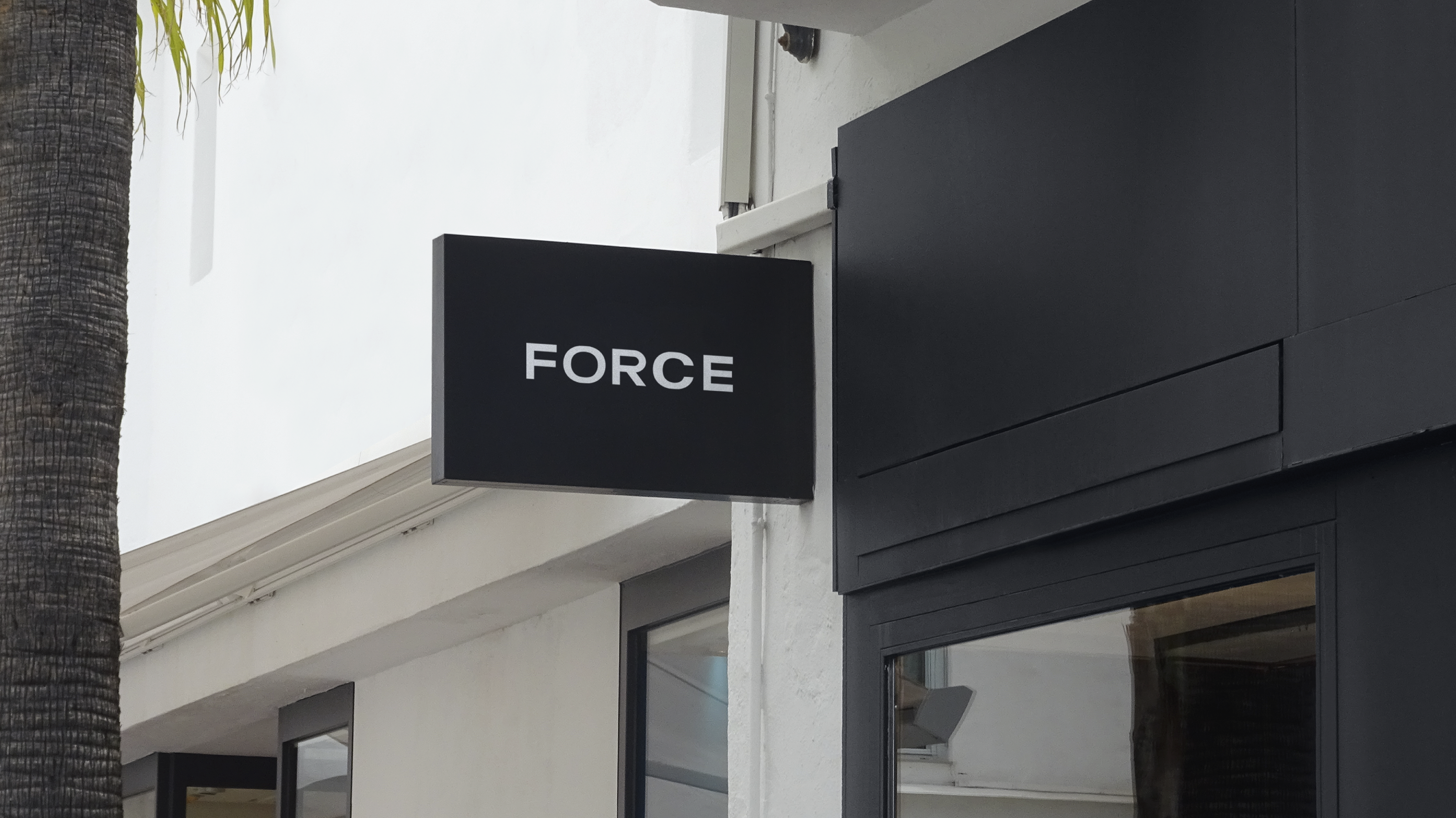Brand Identity / Fashion / FORCE — Изображение №4 — Брендинг, Графика на Dprofile