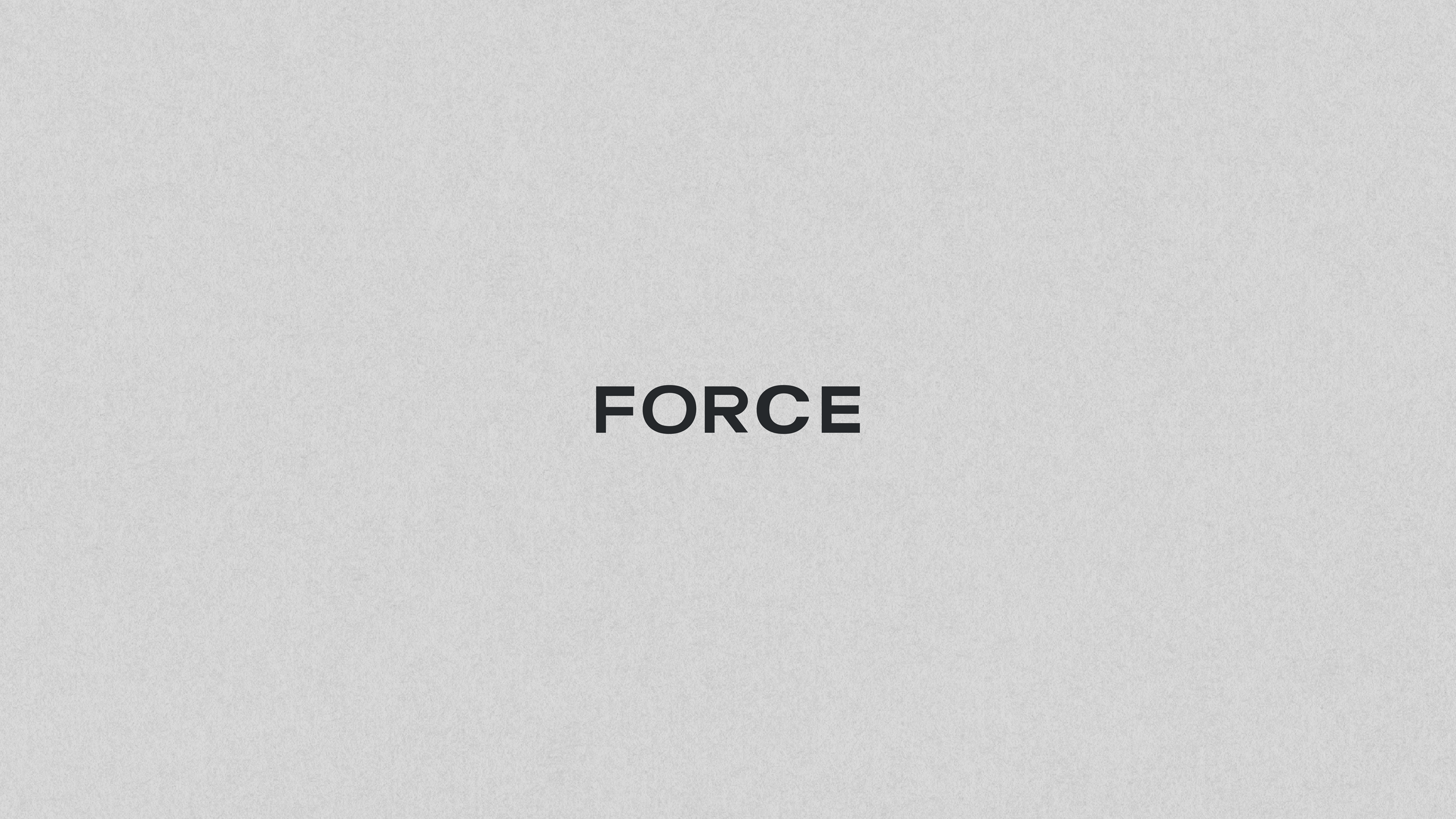Brand Identity / Fashion / FORCE — Изображение №2 — Брендинг, Графика на Dprofile