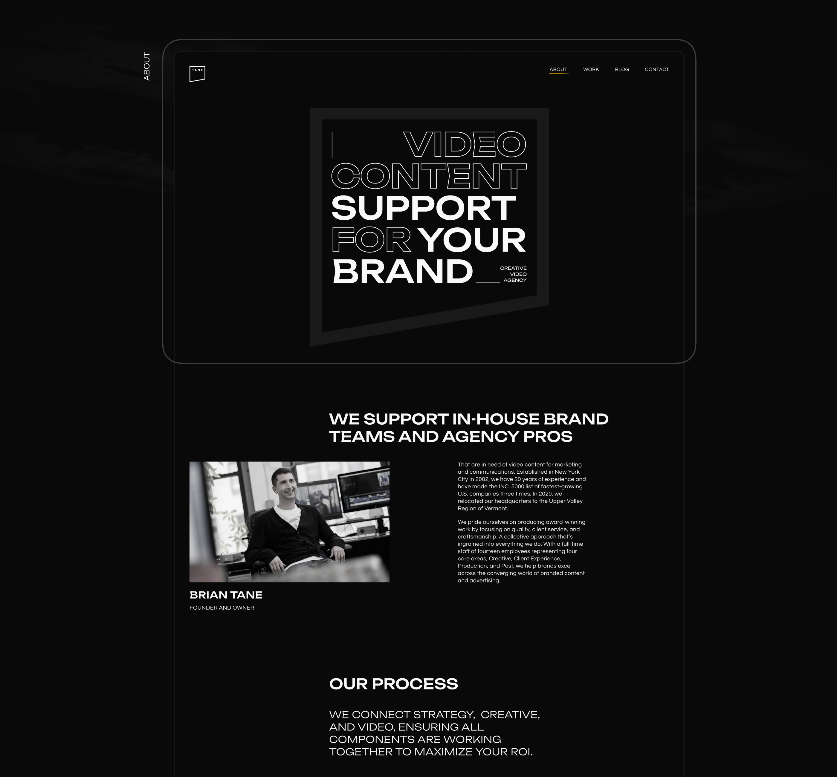 Tane | Corporate website — Изображение №13 — Интерфейсы на Dprofile