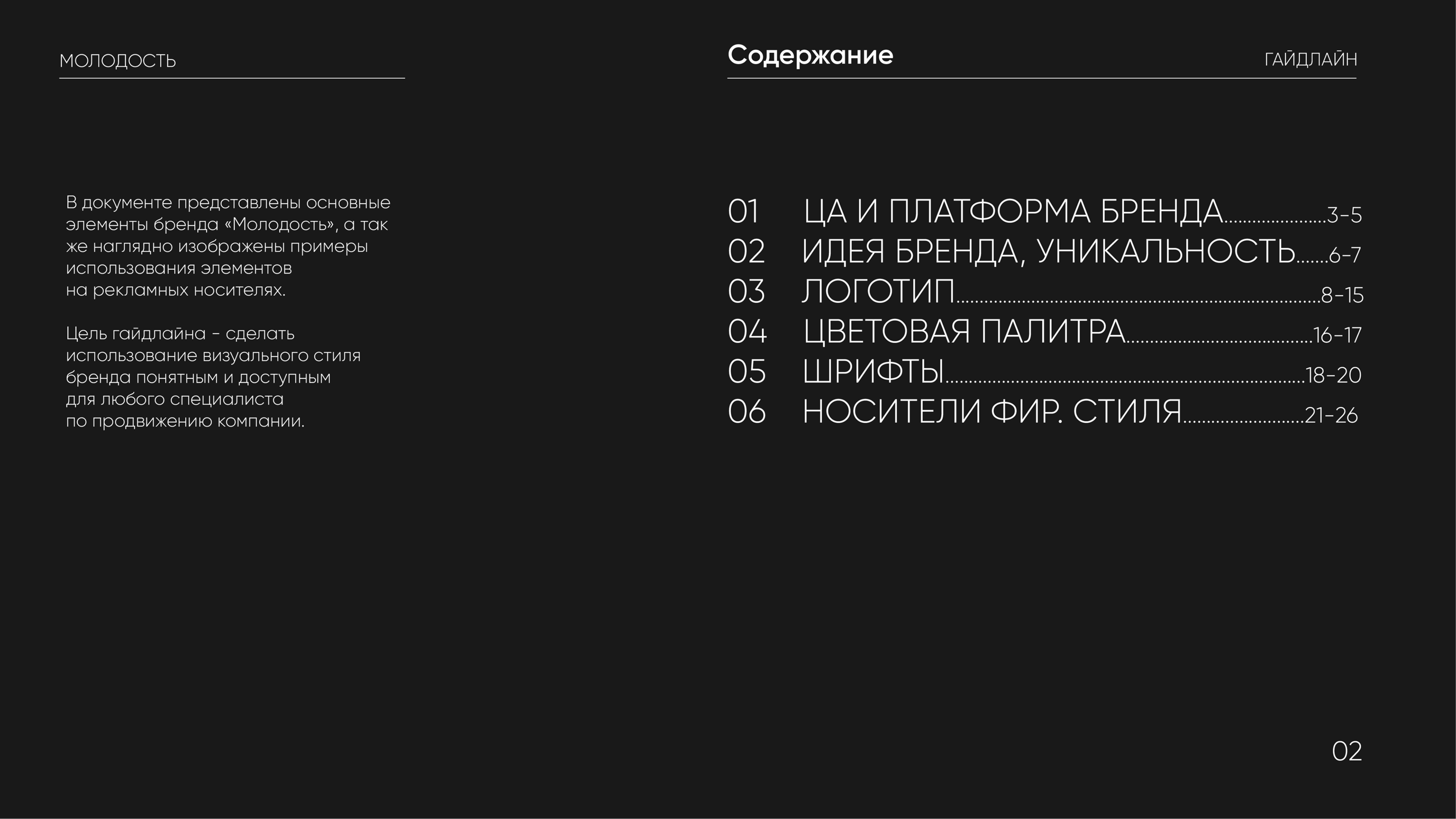 Гайдлайн для бренда "Молодость" — Изображение №2 — Брендинг, Графика на Dprofile