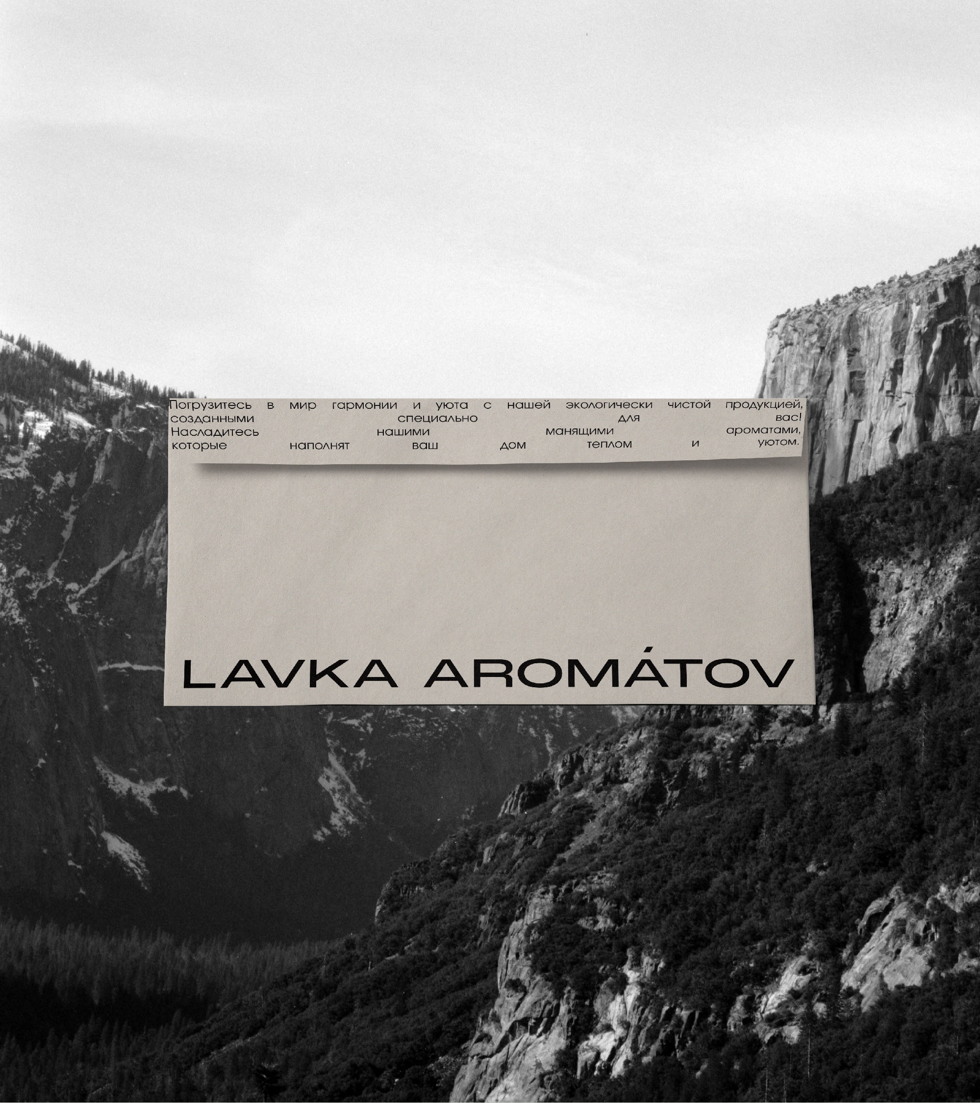 Brand Identity / Logotype / Lavka Aromatov — Изображение №3 — Брендинг на Dprofile