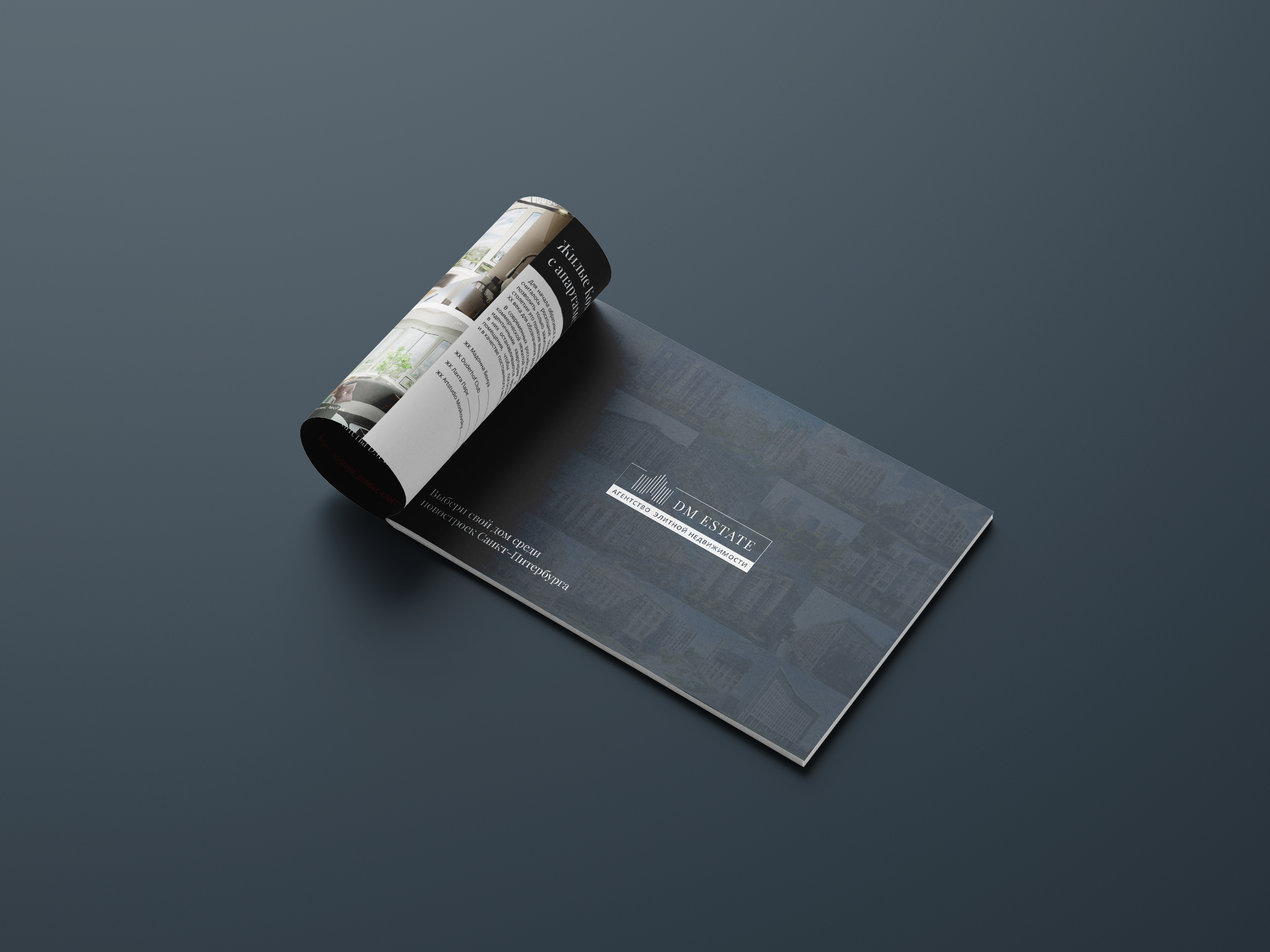 real estate catalog | Каталог недвижимости — Изображение №6 — Графика на Dprofile