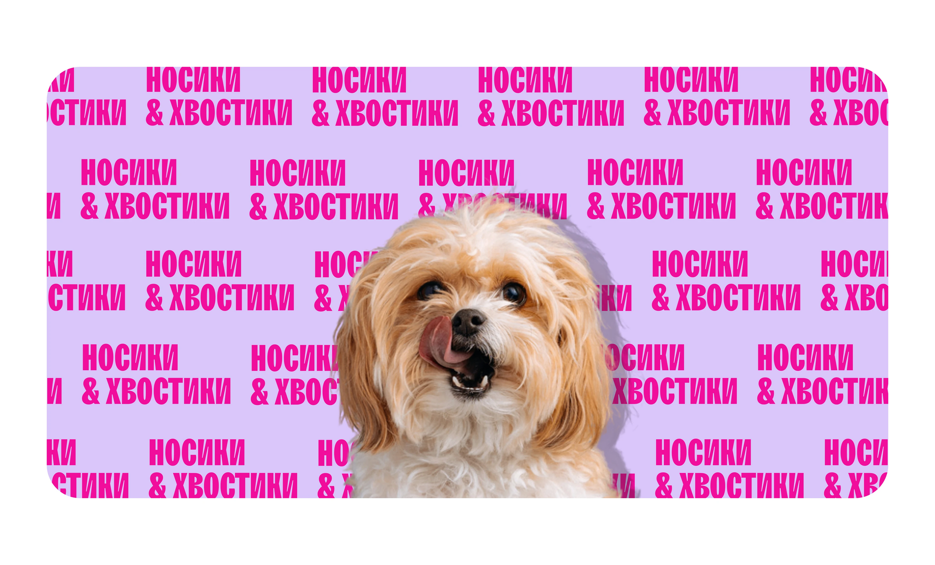 Носики & Хвостики — Изображение №1 — Брендинг, Иллюстрация на Dprofile