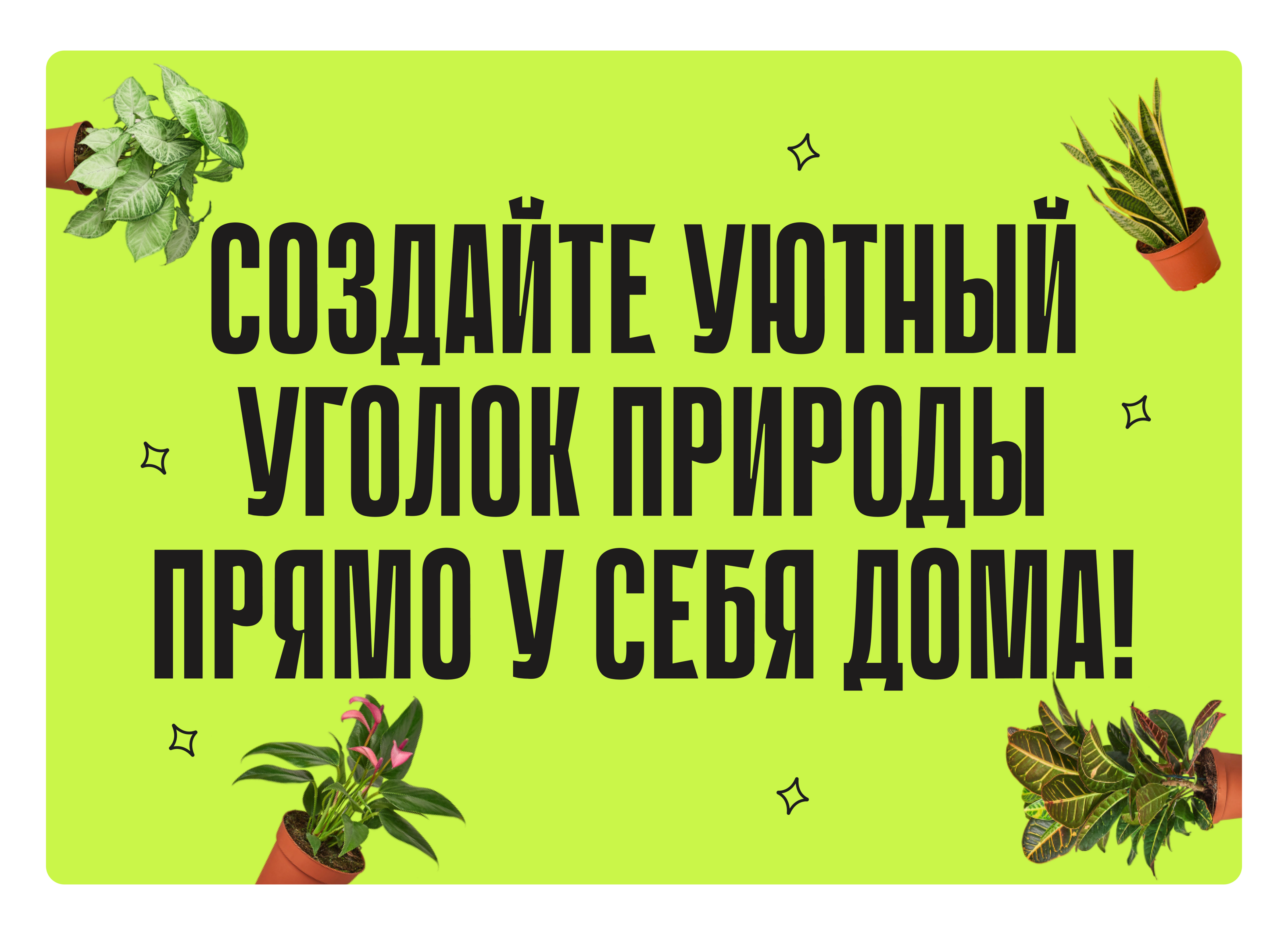 Grow: Website & Brand Identity — Изображение №1 — Интерфейсы на Dprofile