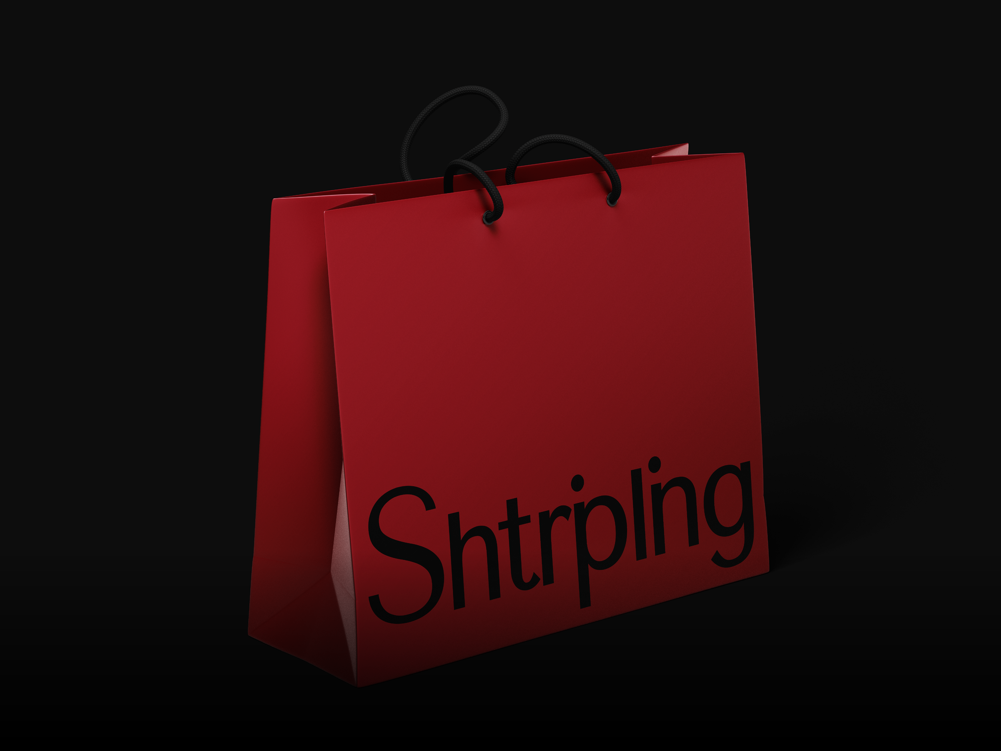 SHTRIPLING STORE | Clothing Store Brand Identity — Изображение №4 — Брендинг, Графика на Dprofile