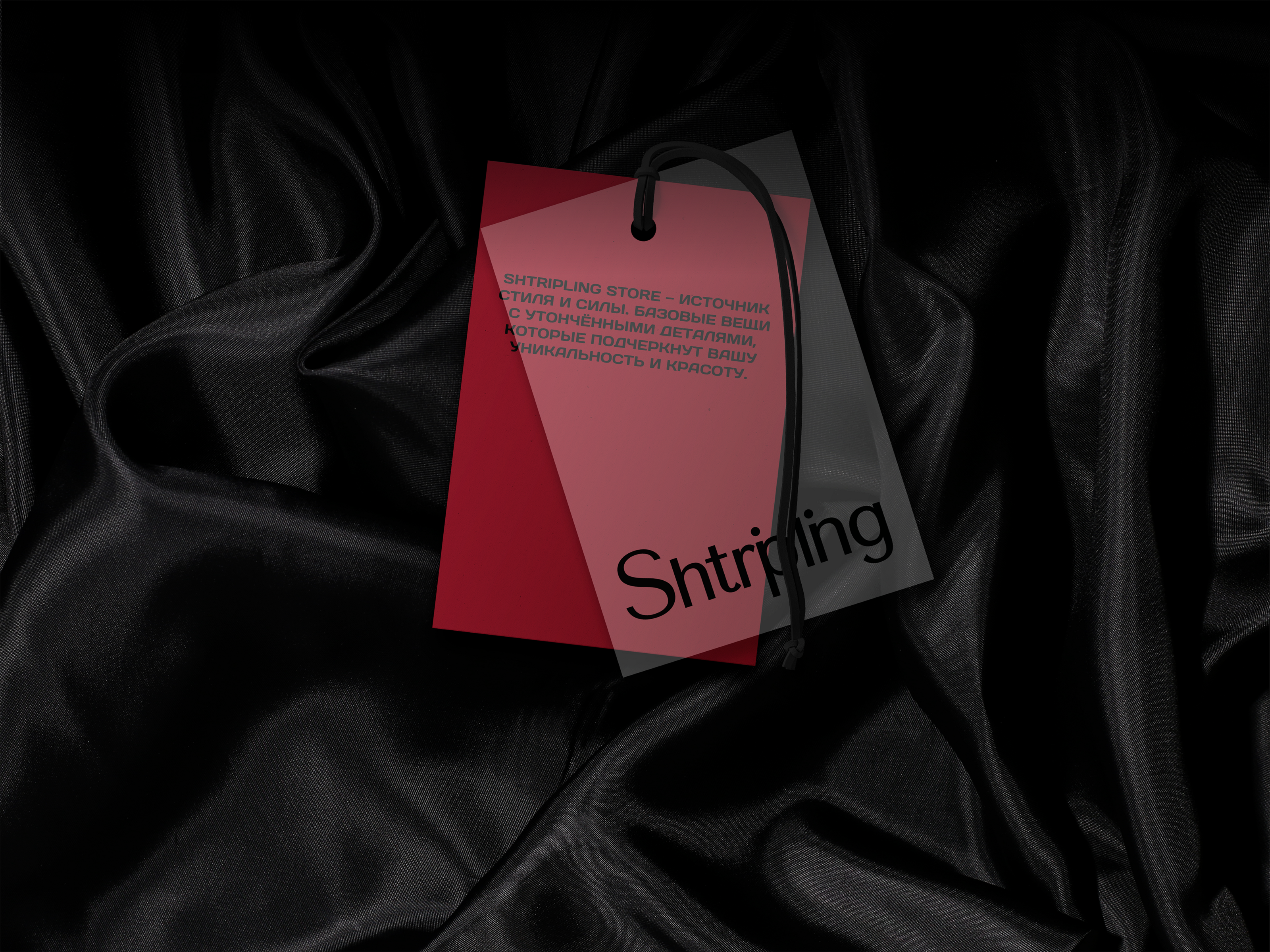 SHTRIPLING STORE | Clothing Store Brand Identity — Изображение №13 — Брендинг, Графика на Dprofile