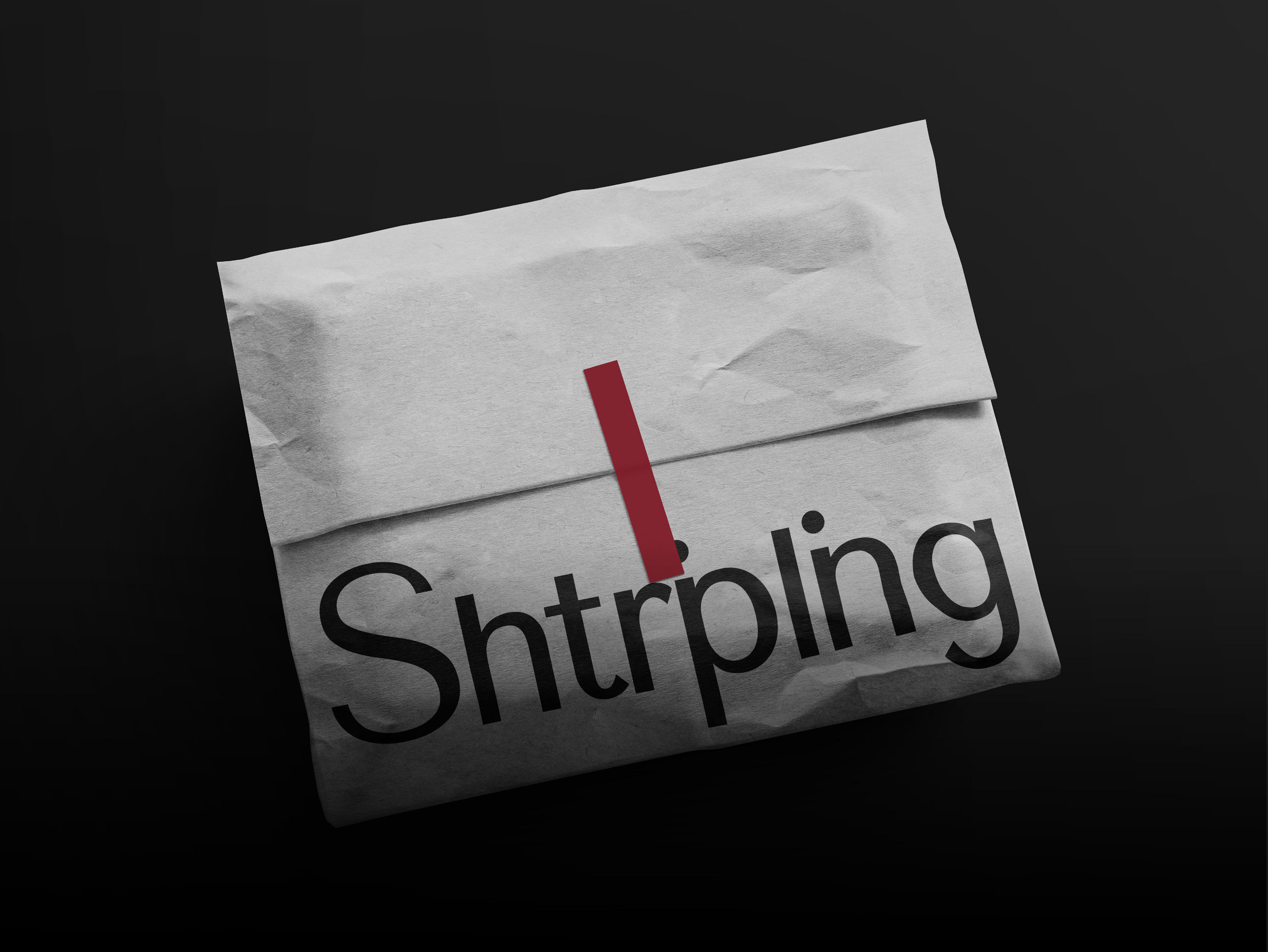 SHTRIPLING STORE | Clothing Store Brand Identity — Изображение №11 — Брендинг, Графика на Dprofile