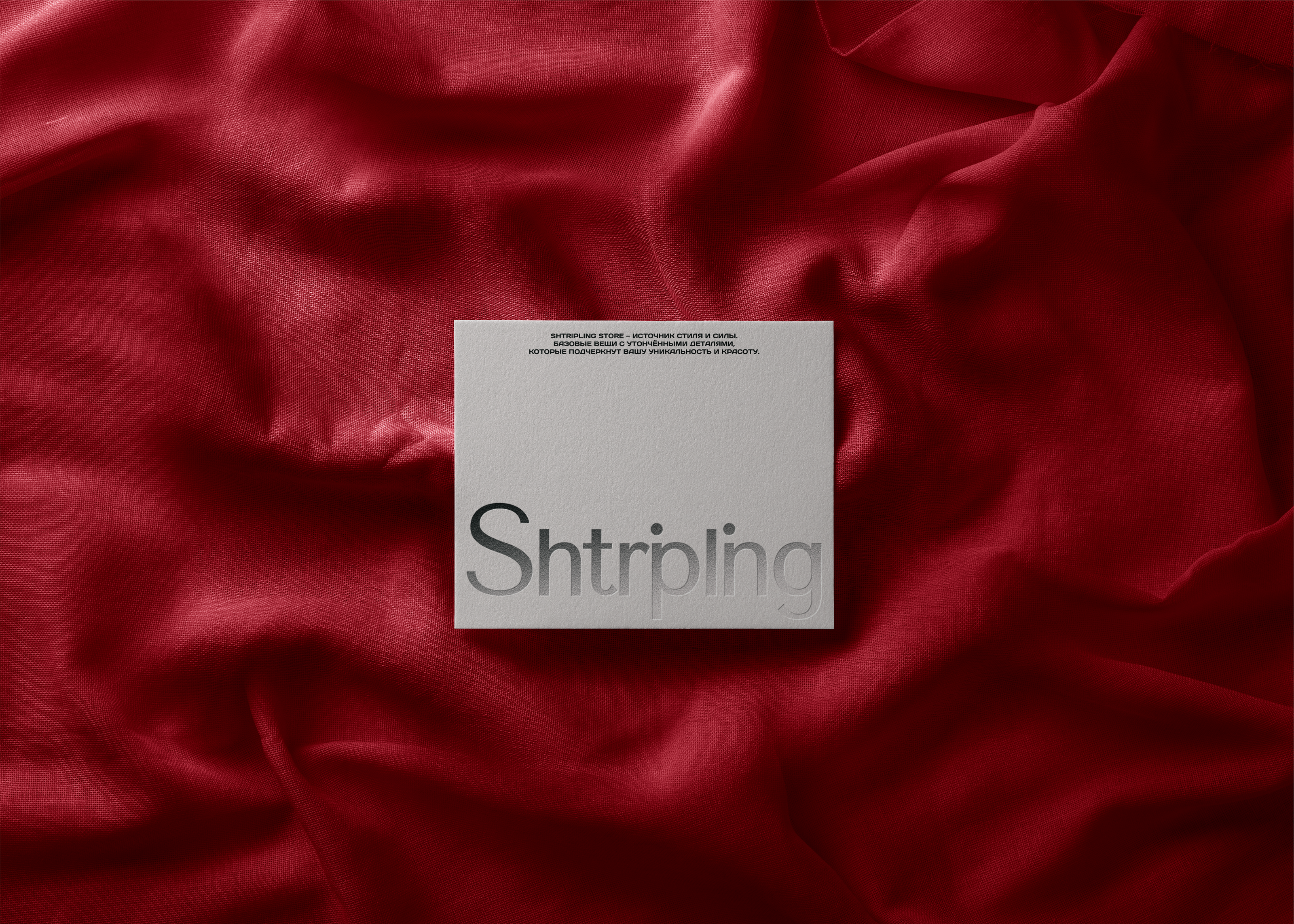 SHTRIPLING STORE | Clothing Store Brand Identity — Изображение №8 — Брендинг, Графика на Dprofile