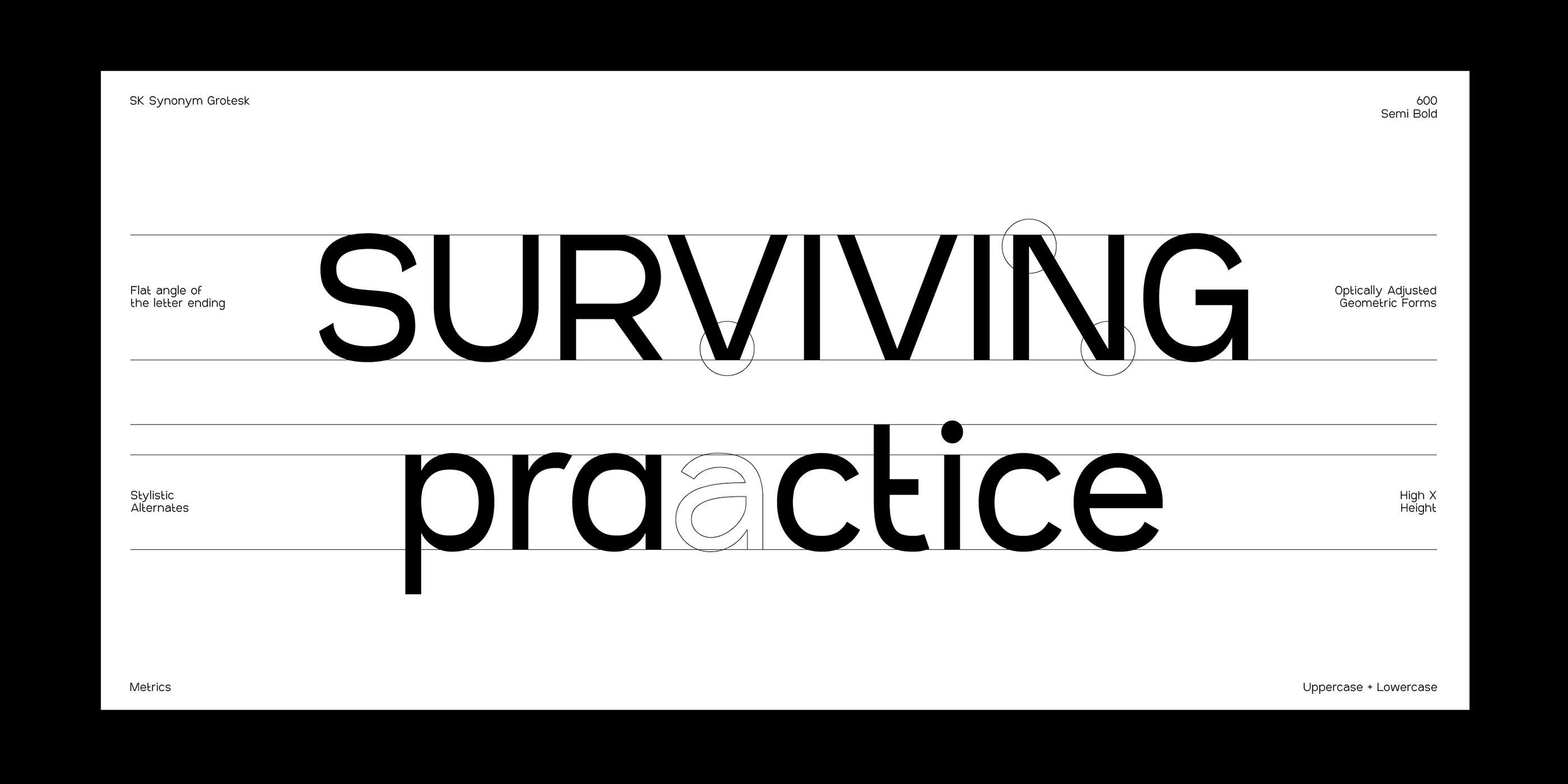 SK Synonym Grotesk — Изображение №8 — Графика на Dprofile
