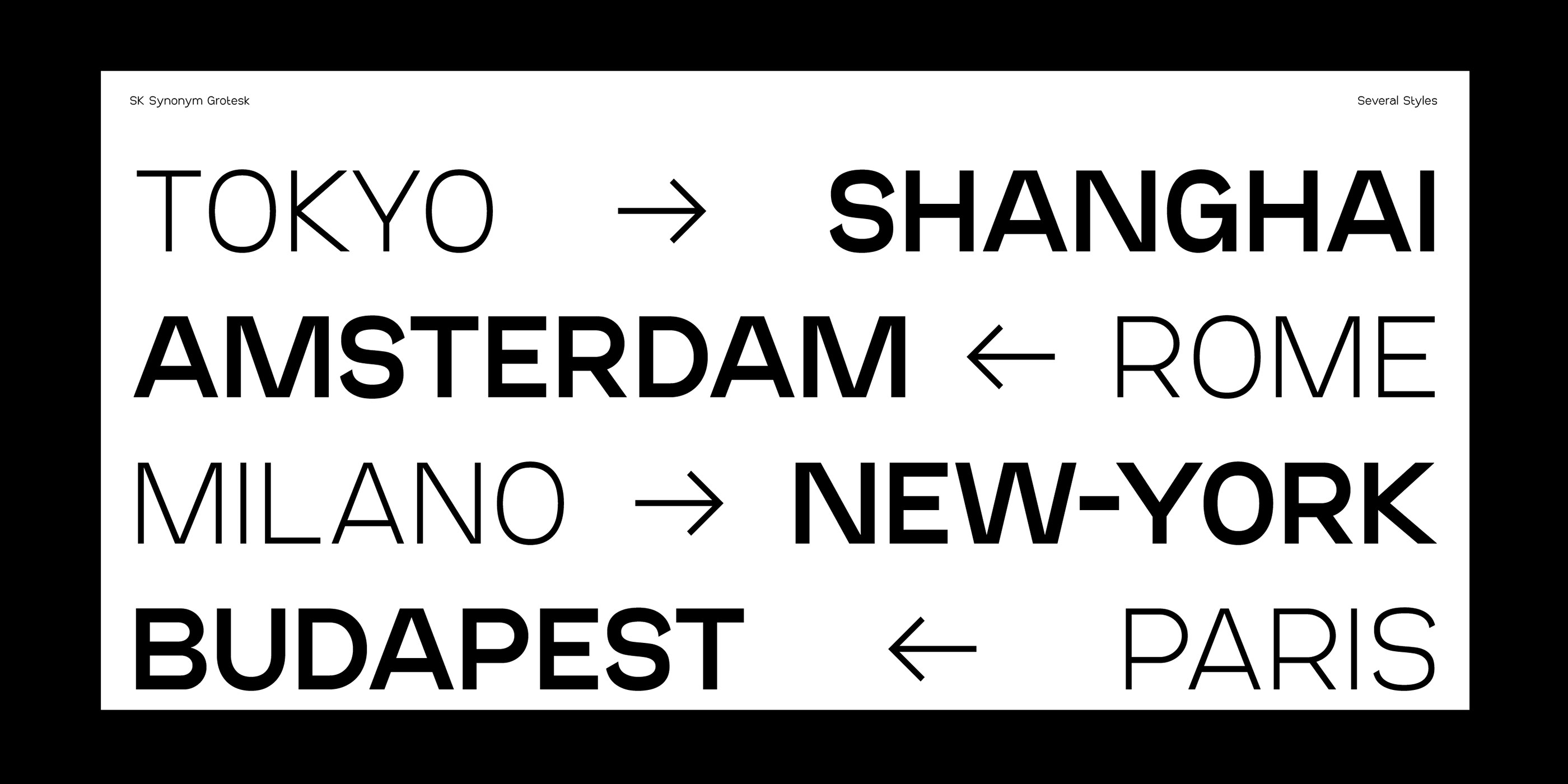 SK Synonym Grotesk — Изображение №22 — Графика на Dprofile