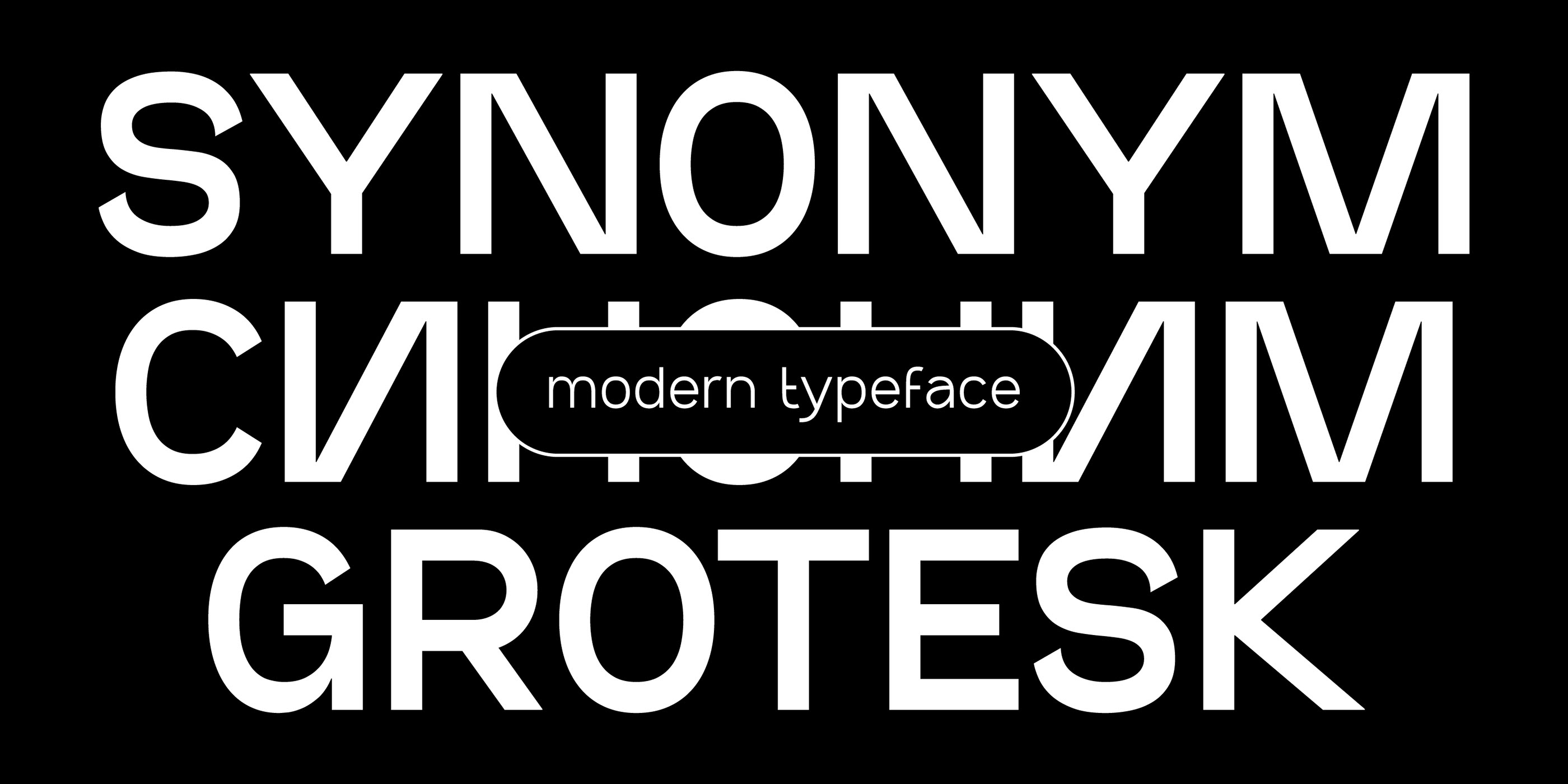 SK Synonym Grotesk — Изображение №1 — Графика на Dprofile