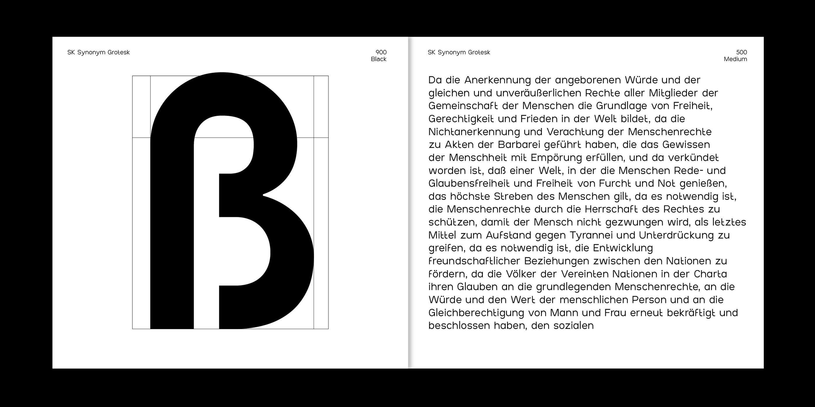 SK Synonym Grotesk — Изображение №18 — Графика на Dprofile