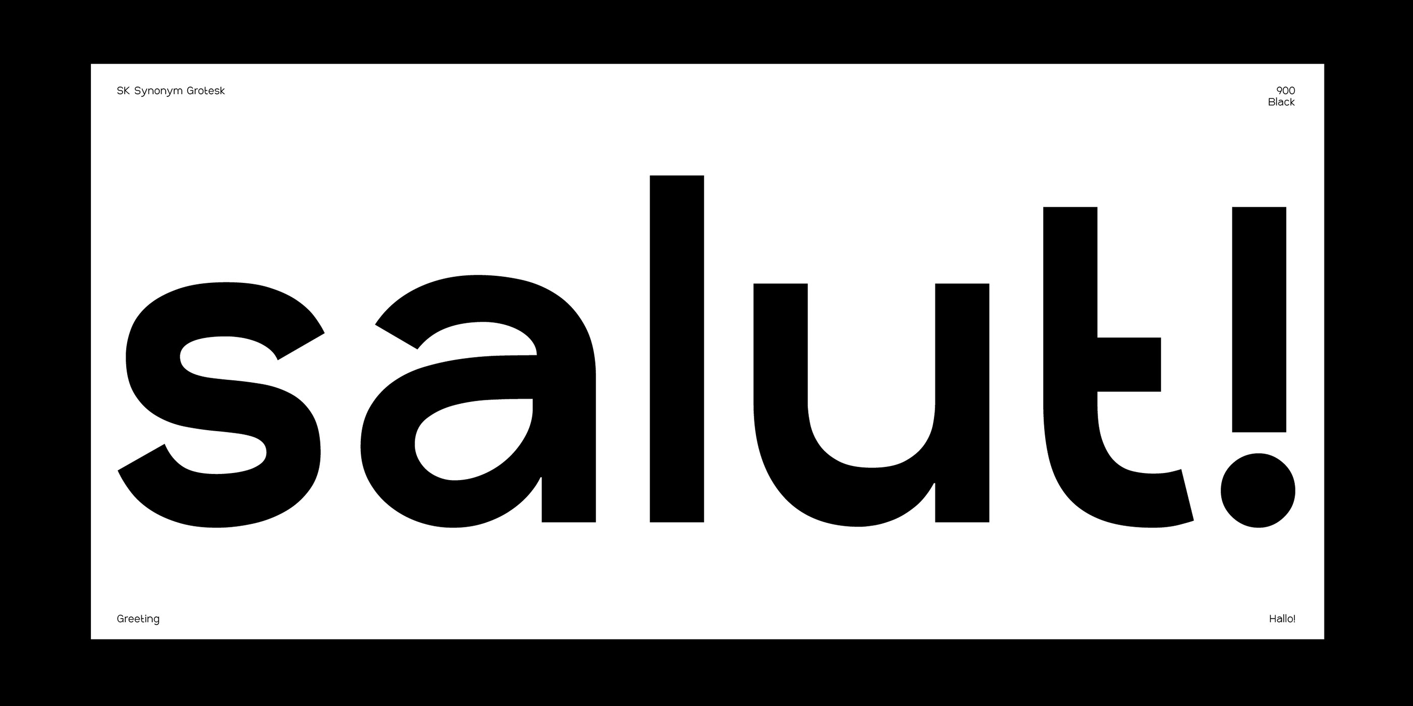 SK Synonym Grotesk — Изображение №10 — Графика на Dprofile