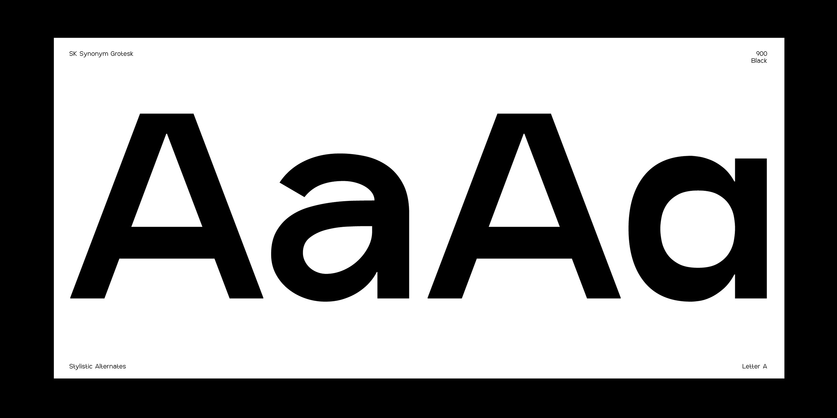SK Synonym Grotesk — Изображение №16 — Графика на Dprofile