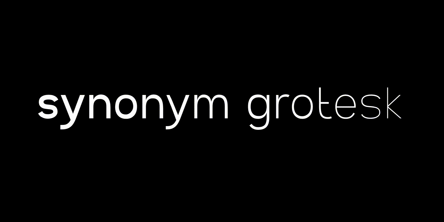 SK Synonym Grotesk — Изображение №19 — Графика на Dprofile